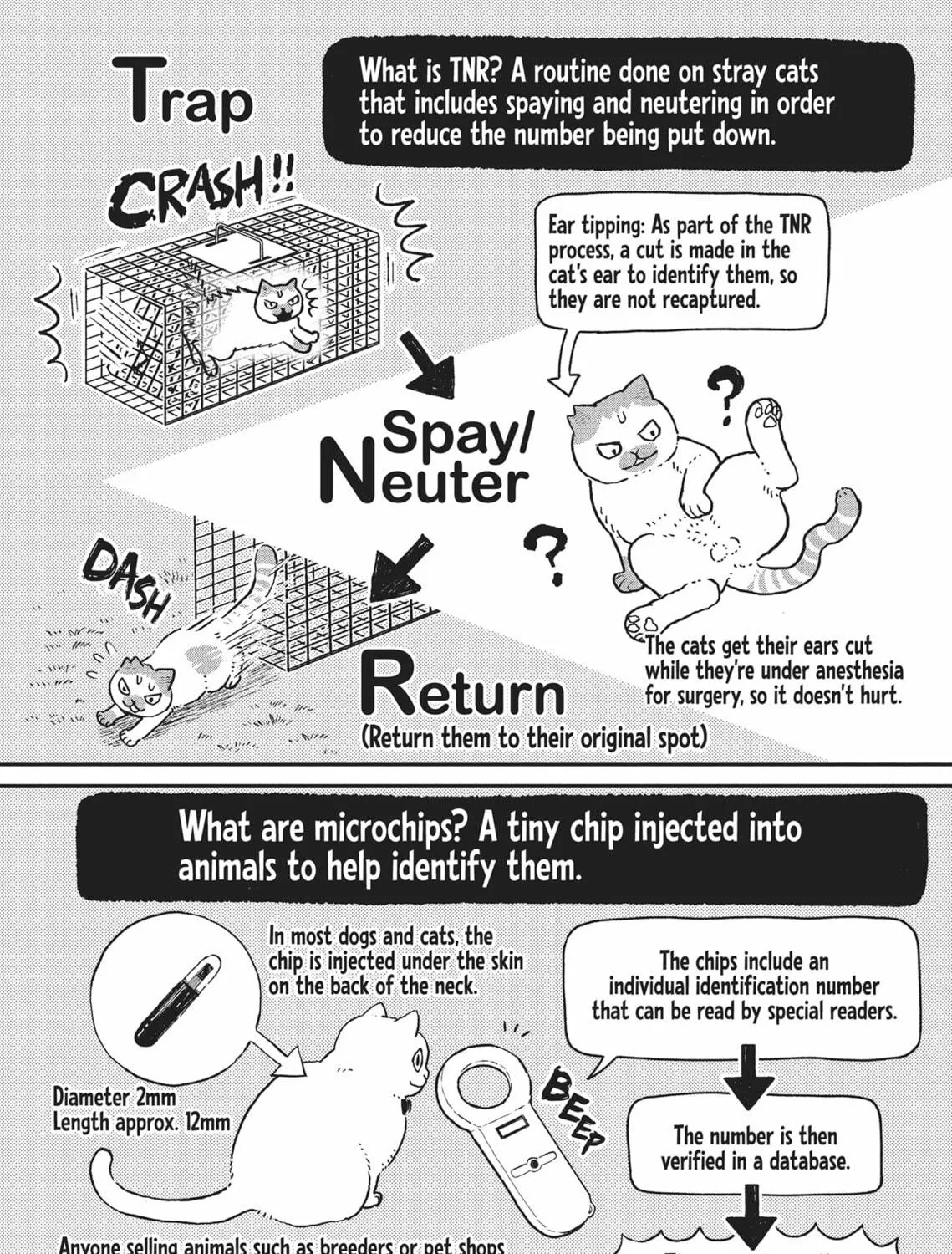 Cat Companions Maruru and Hachi Chapter 13 page 23 - 