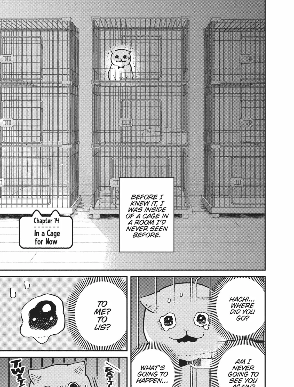 Cat Companions Maruru and Hachi Chapter 14 page 1 - 