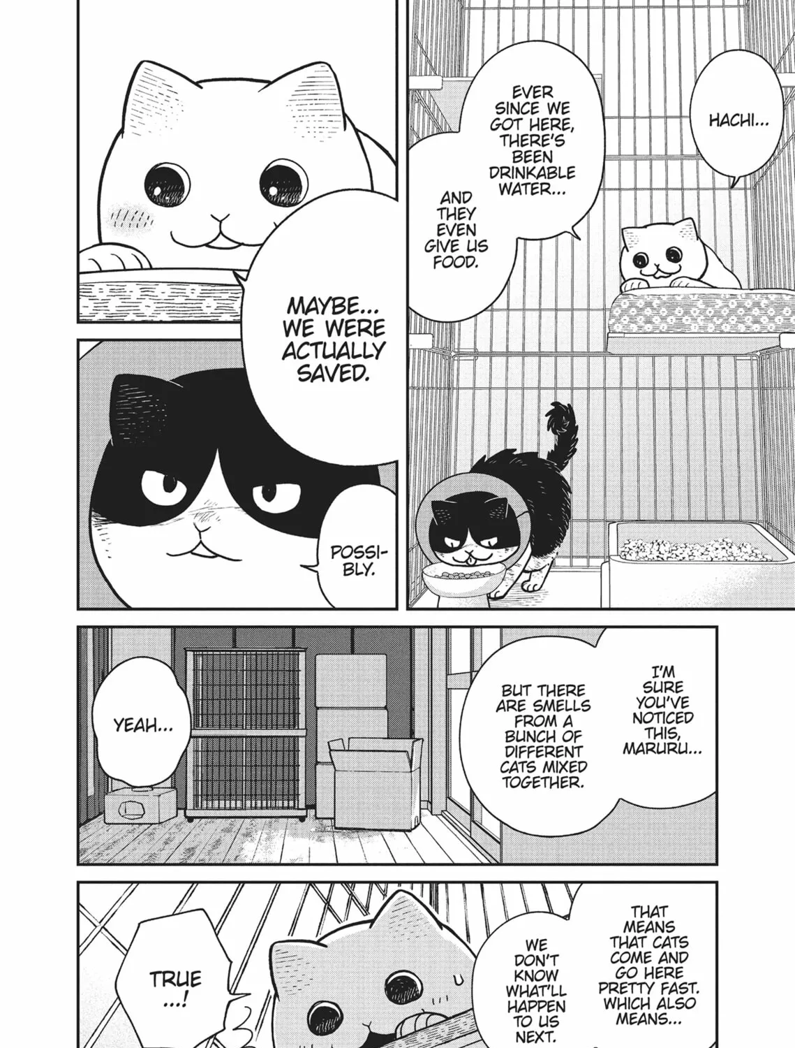 Cat Companions Maruru and Hachi Chapter 14 page 15 - 