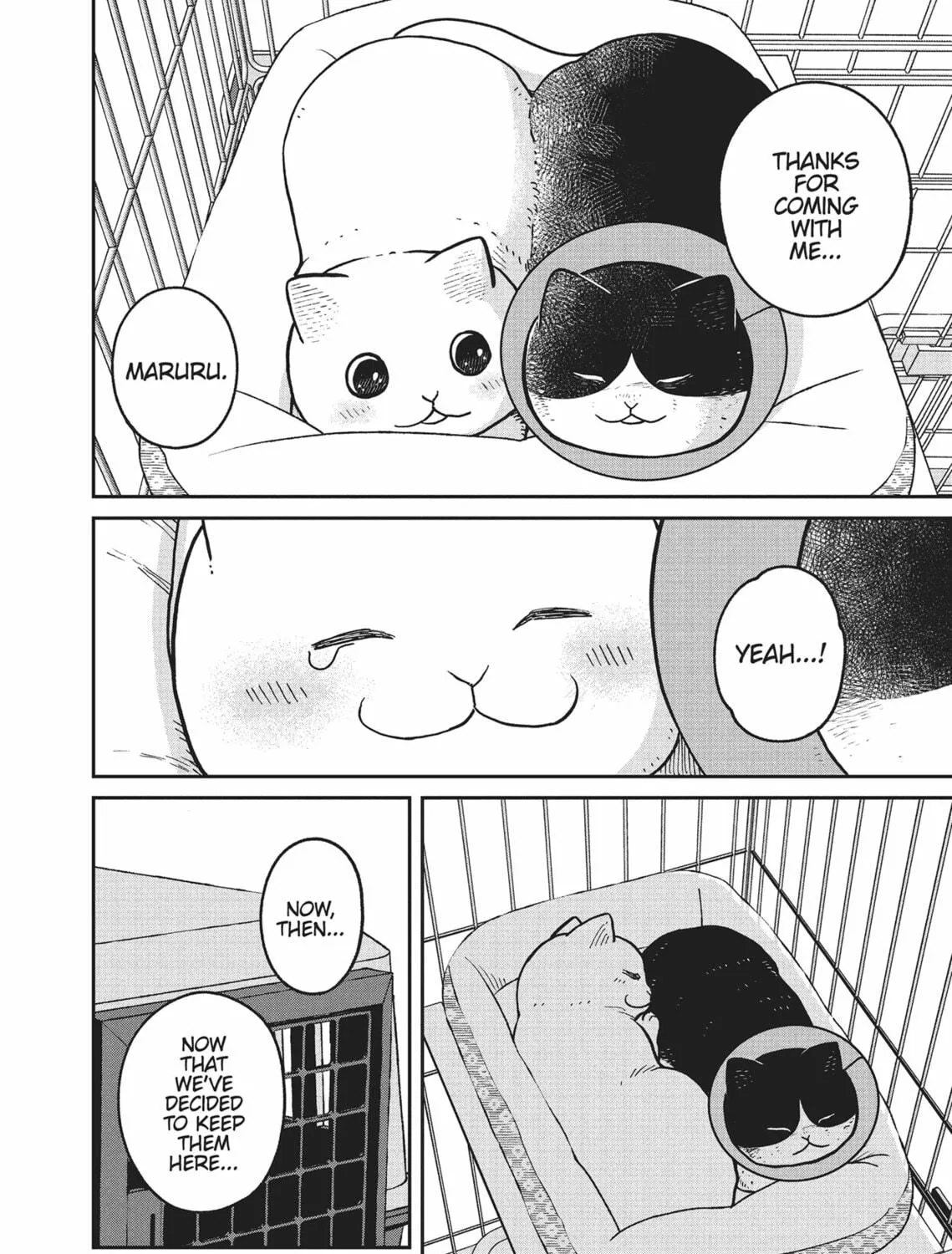 Cat Companions Maruru and Hachi Chapter 14 page 19 - 