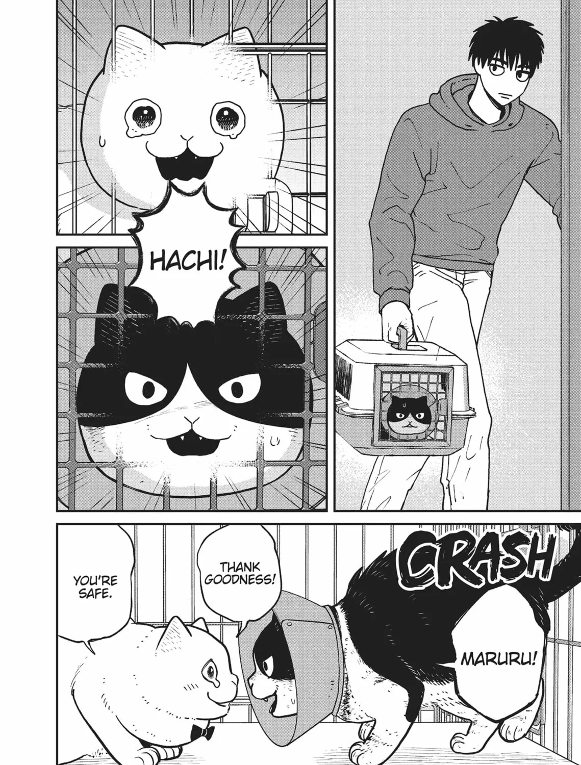 Cat Companions Maruru and Hachi Chapter 14 page 3 - 