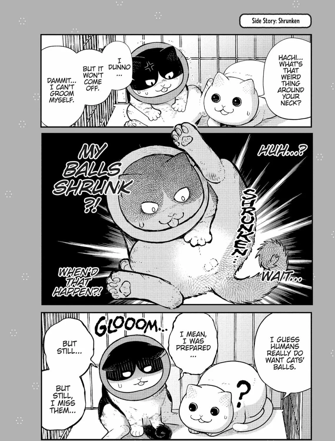 Cat Companions Maruru and Hachi Chapter 14 page 23 - 