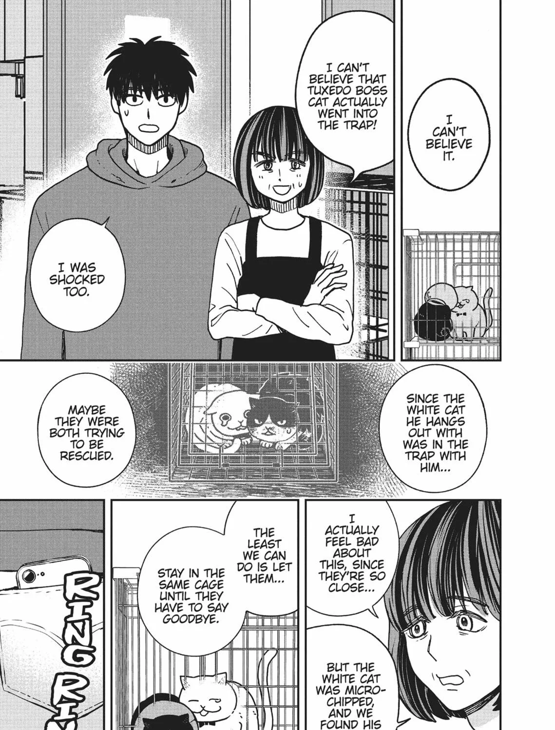 Cat Companions Maruru and Hachi Chapter 14 page 5 - 