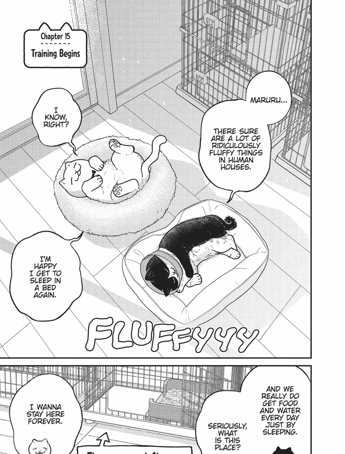 Cat Companions Maruru and Hachi Chapter 15 page 1 - 