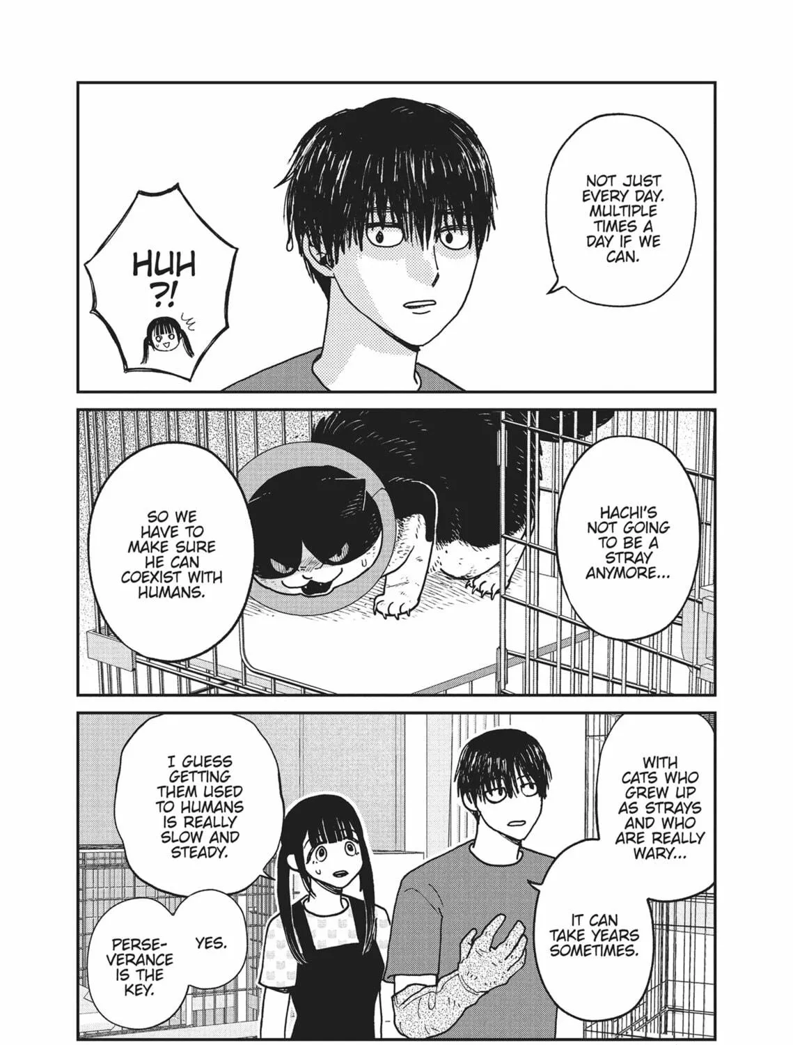 Cat Companions Maruru and Hachi Chapter 15 page 19 - 