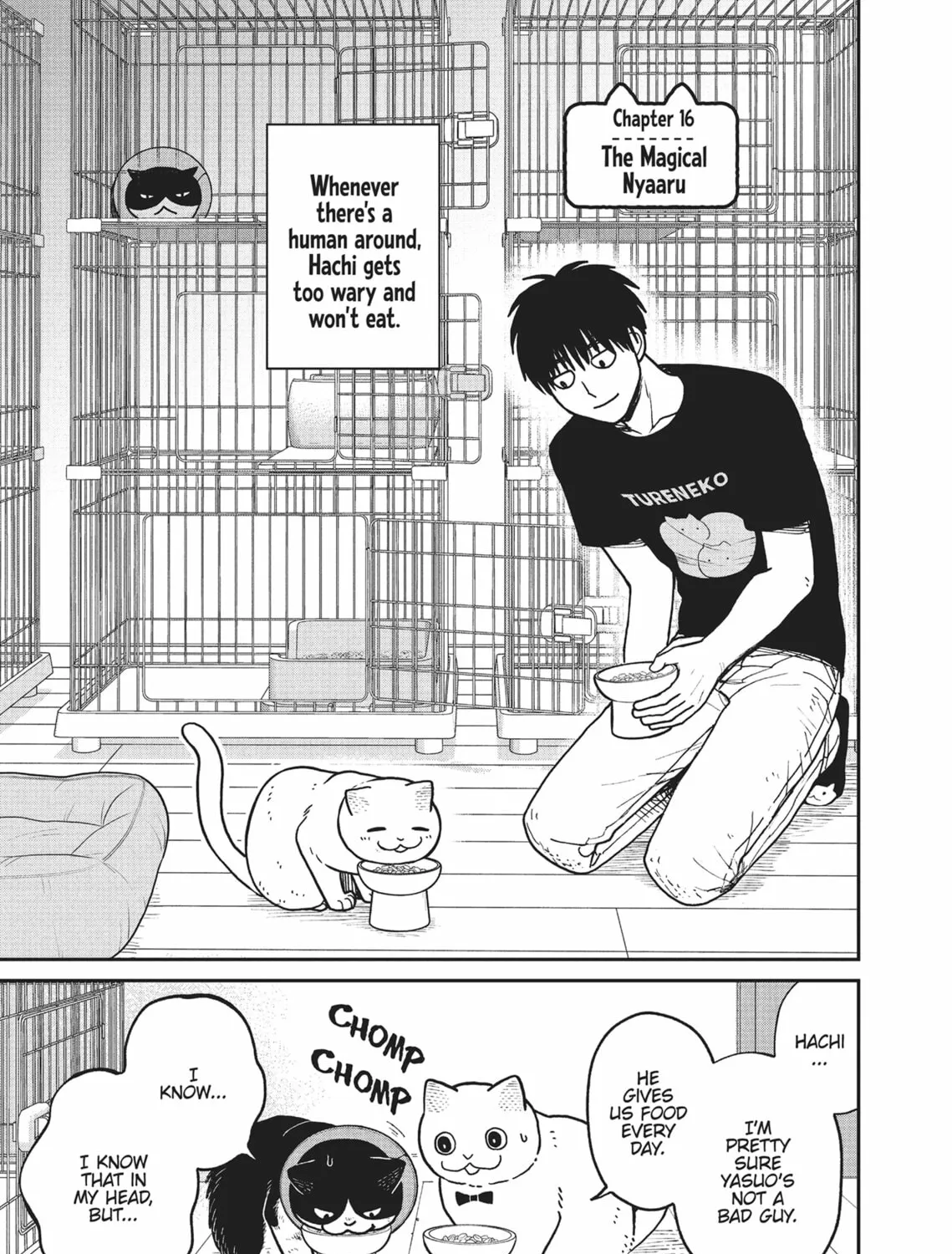 Cat Companions Maruru and Hachi Chapter 16 page 1 - 