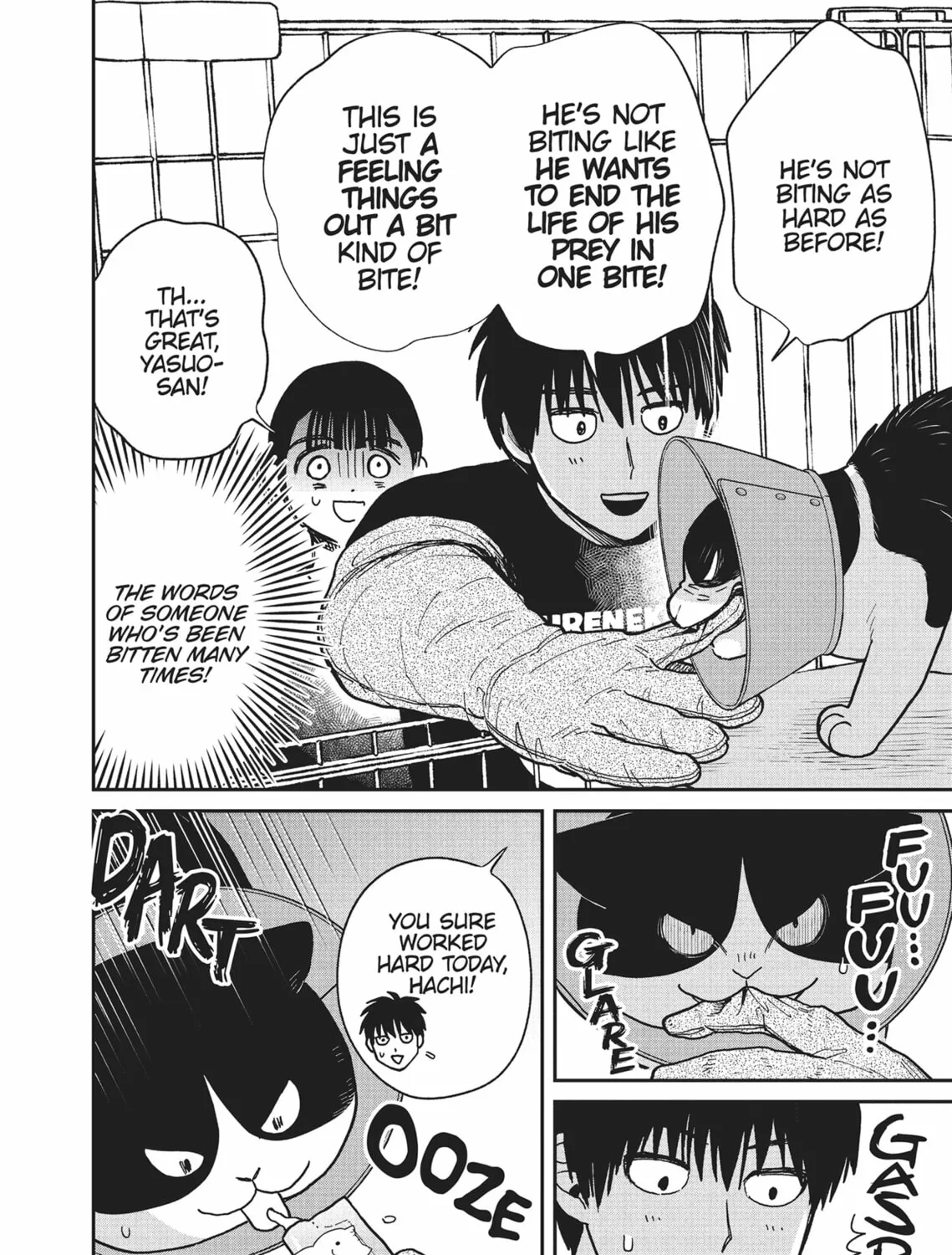 Cat Companions Maruru and Hachi Chapter 16 page 15 - 