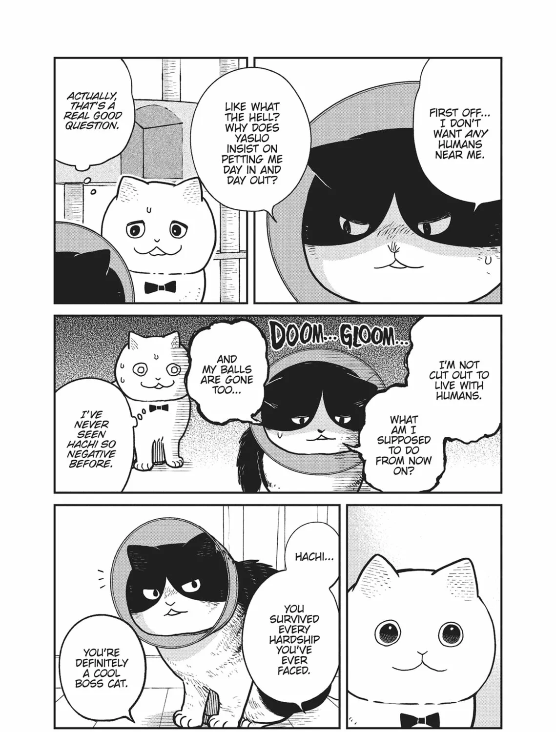 Cat Companions Maruru and Hachi Chapter 16 page 3 - 