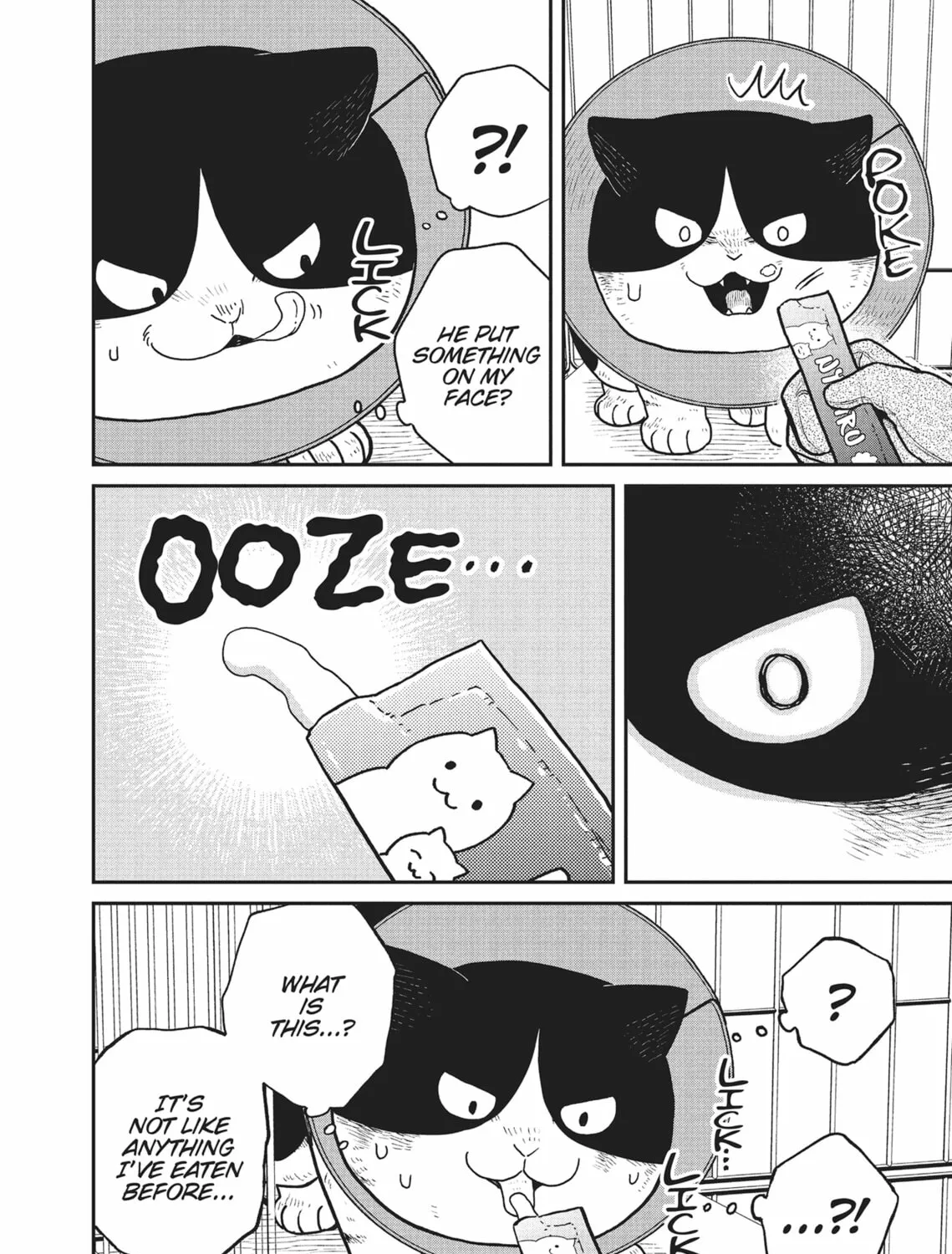 Cat Companions Maruru and Hachi Chapter 16 page 7 - 