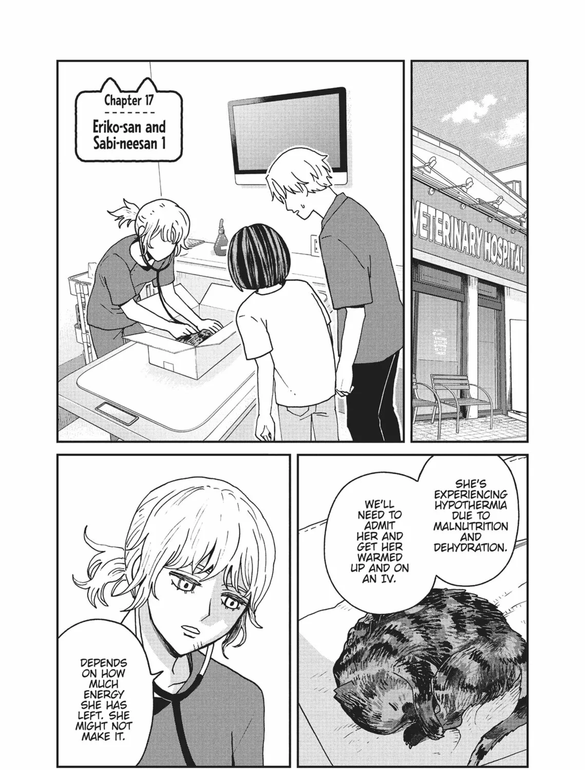 Cat Companions Maruru and Hachi Chapter 17 page 1 - 