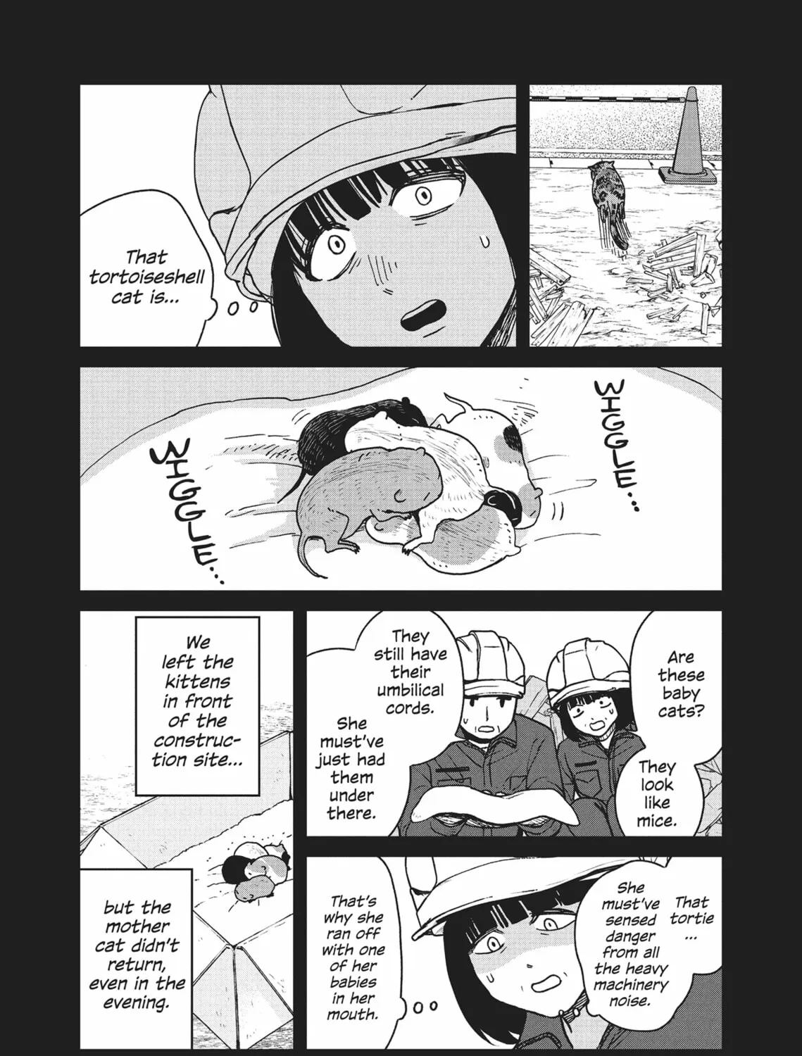 Cat Companions Maruru and Hachi Chapter 17 page 13 - 