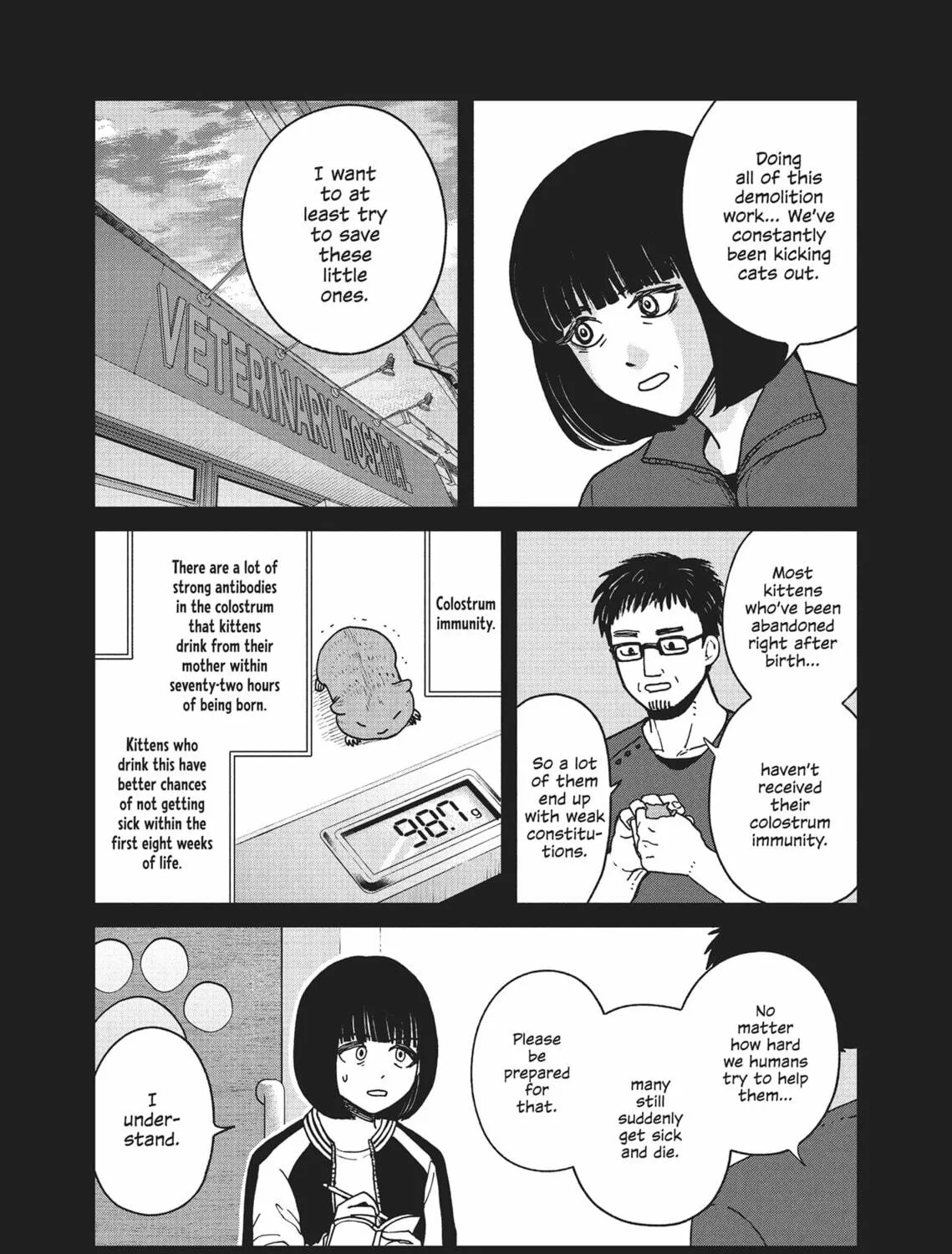 Cat Companions Maruru and Hachi Chapter 17 page 17 - 