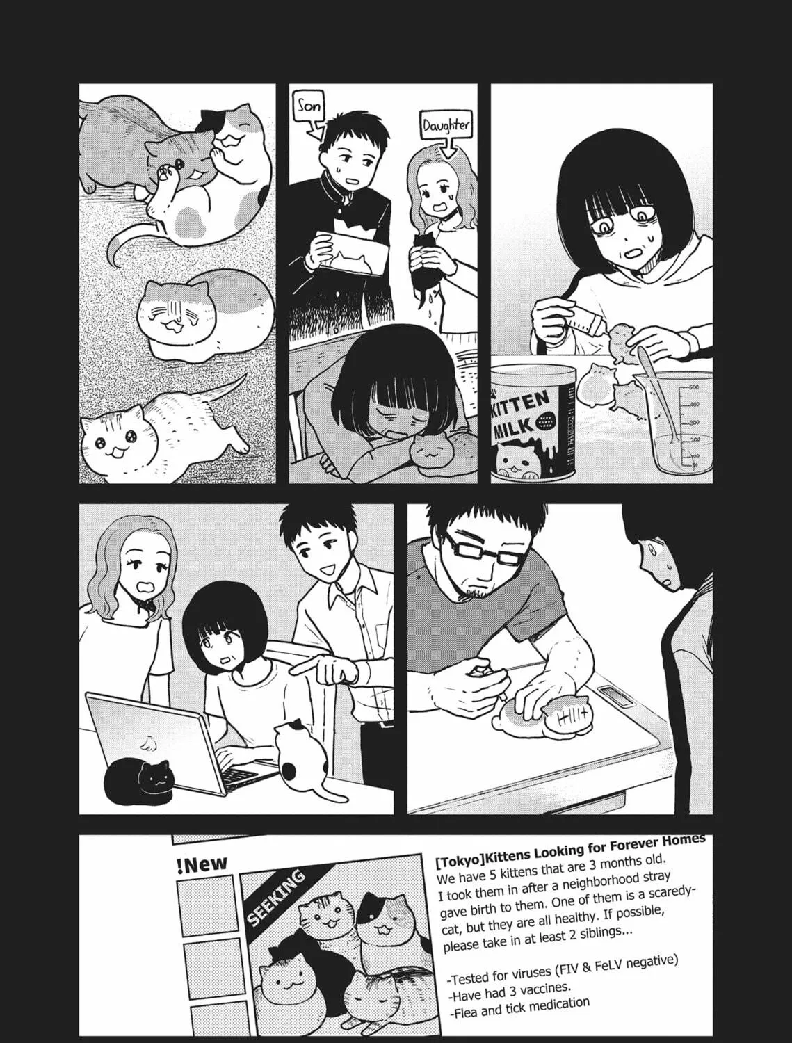 Cat Companions Maruru and Hachi Chapter 17 page 19 - 