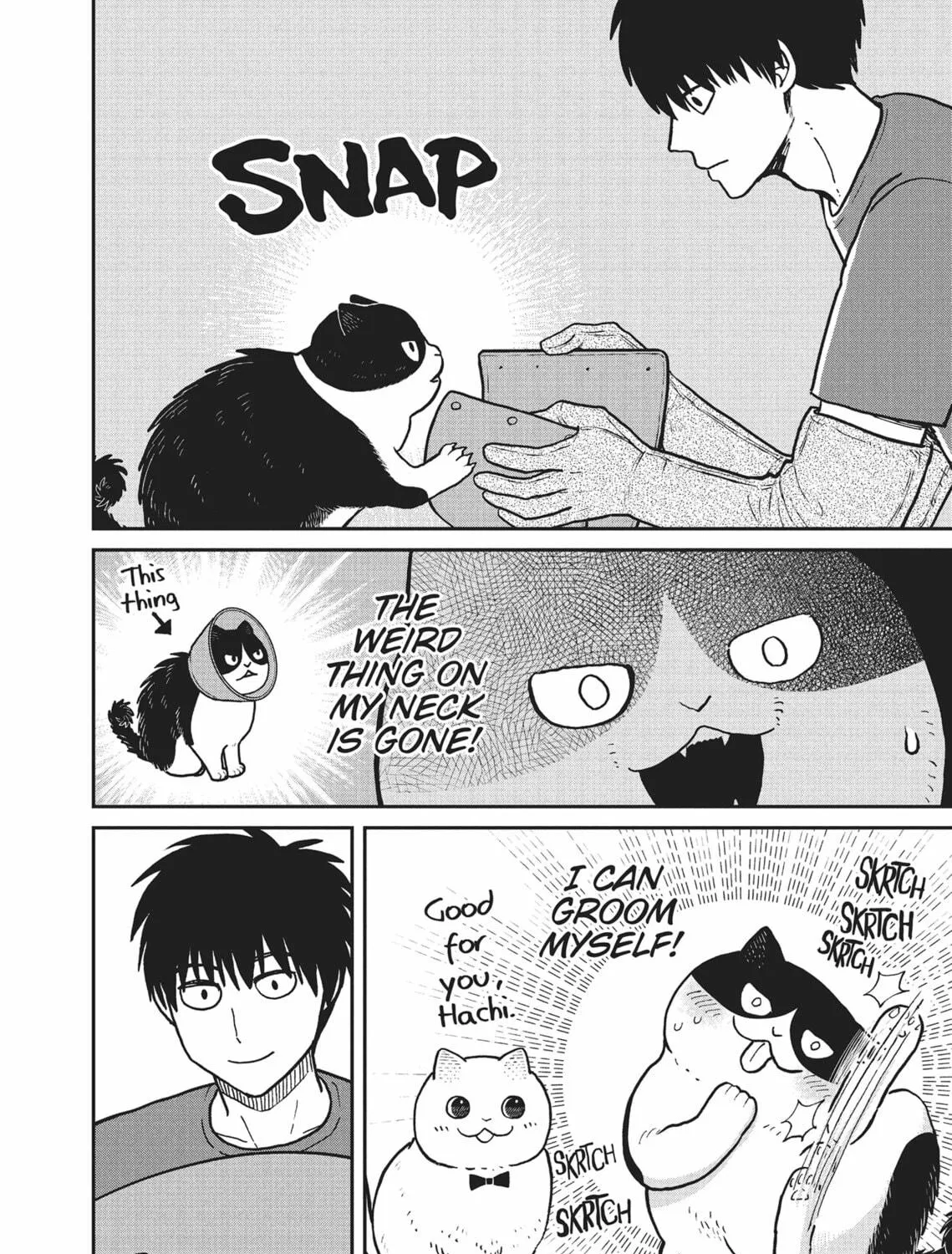 Cat Companions Maruru and Hachi Chapter 18 page 11 - 