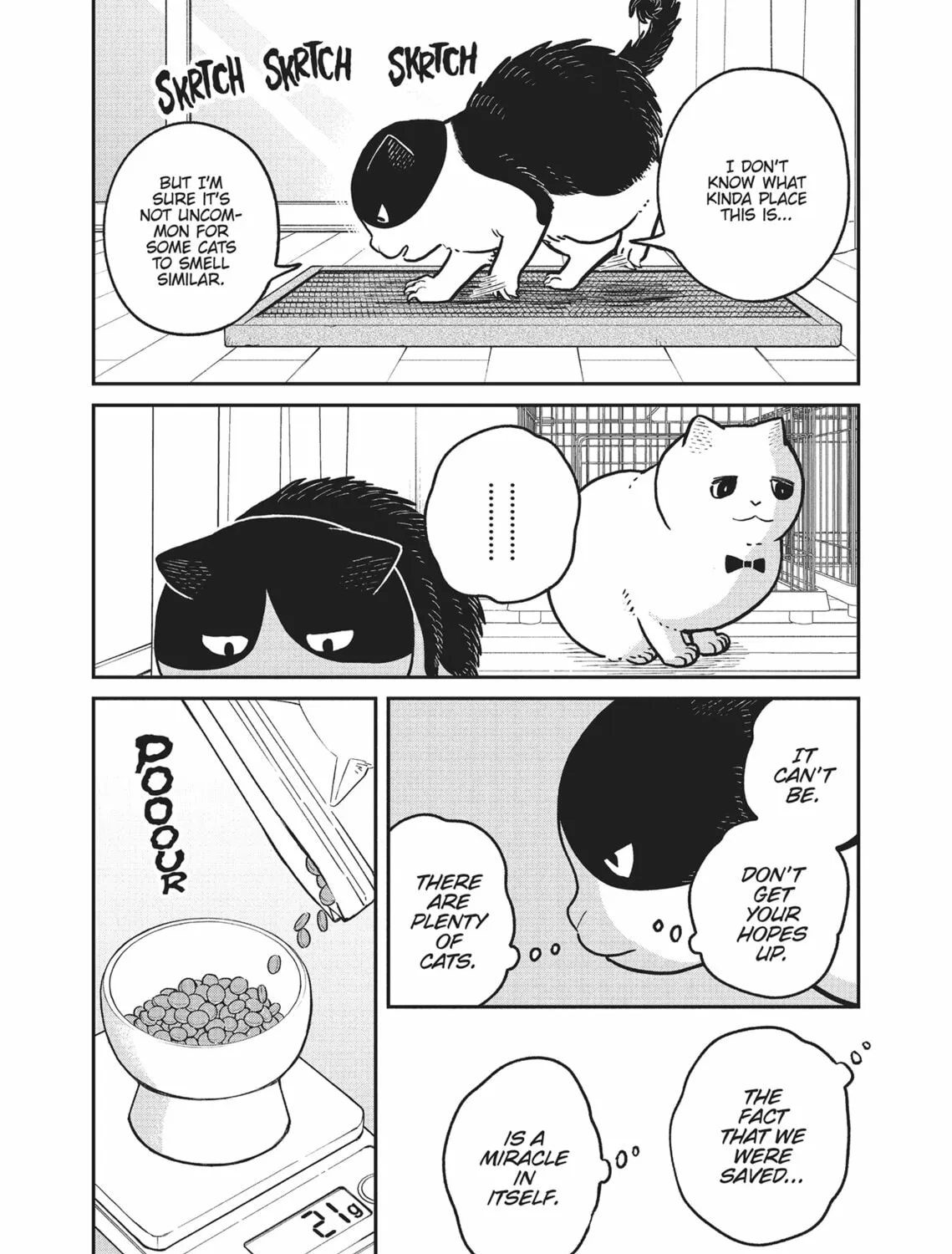 Cat Companions Maruru and Hachi Chapter 18 page 15 - 