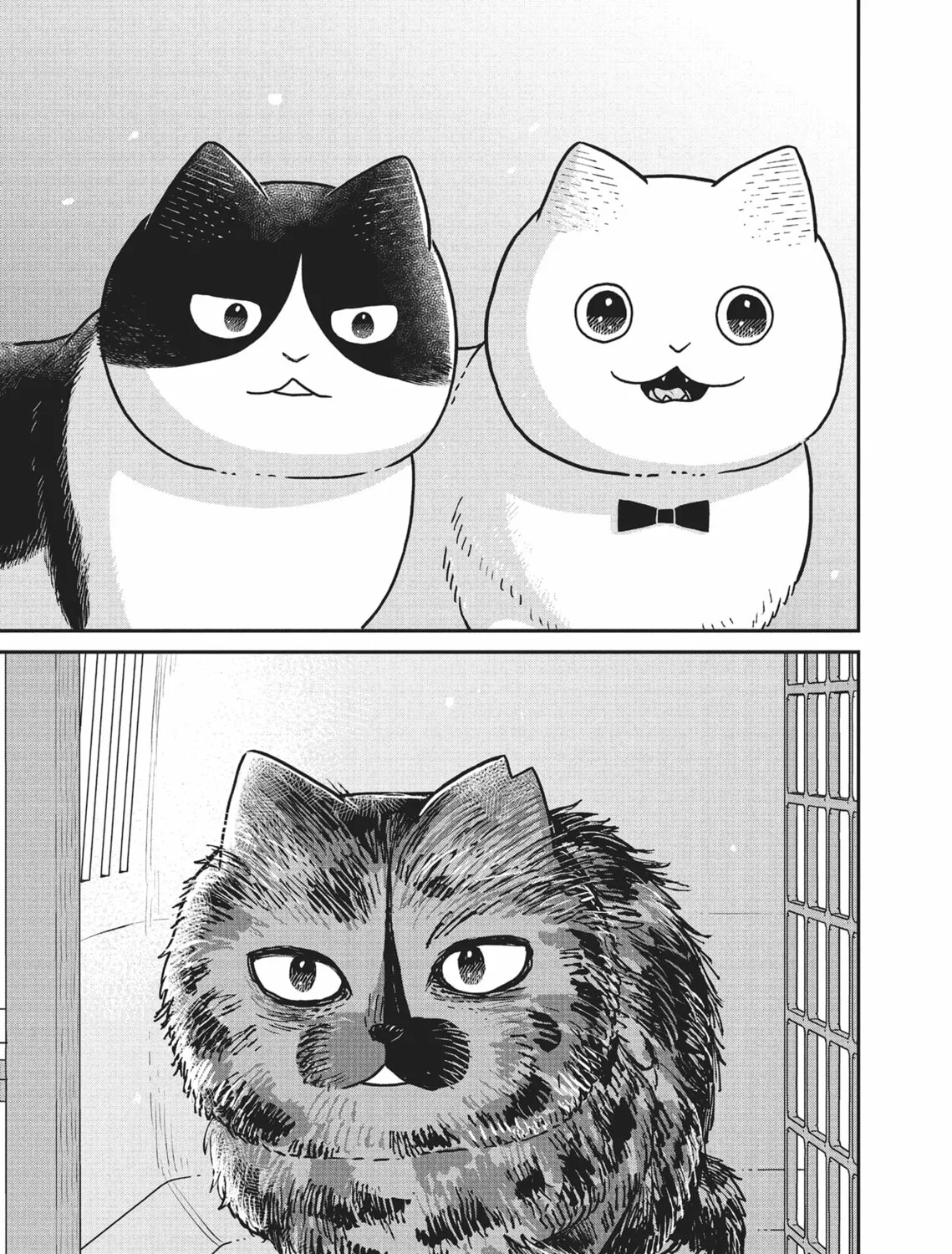 Cat Companions Maruru and Hachi Chapter 18 page 21 - 