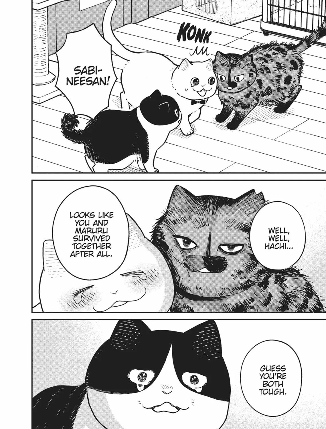 Cat Companions Maruru and Hachi Chapter 18 page 23 - 