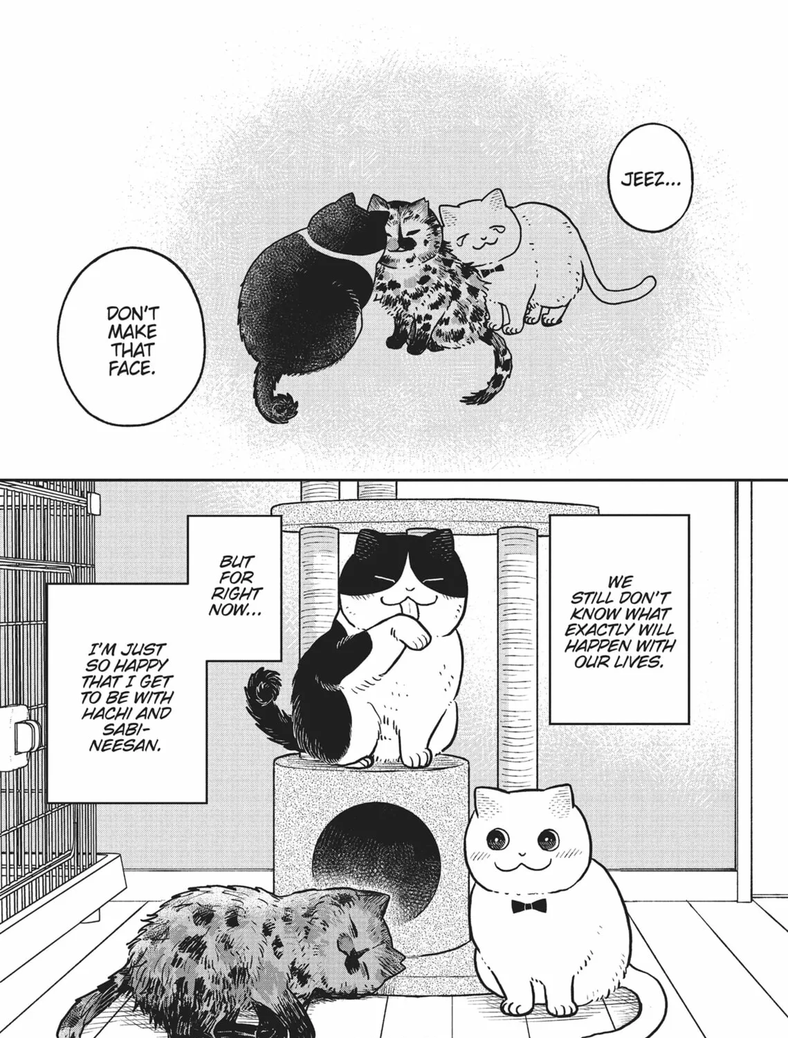 Cat Companions Maruru and Hachi Chapter 18 page 25 - 