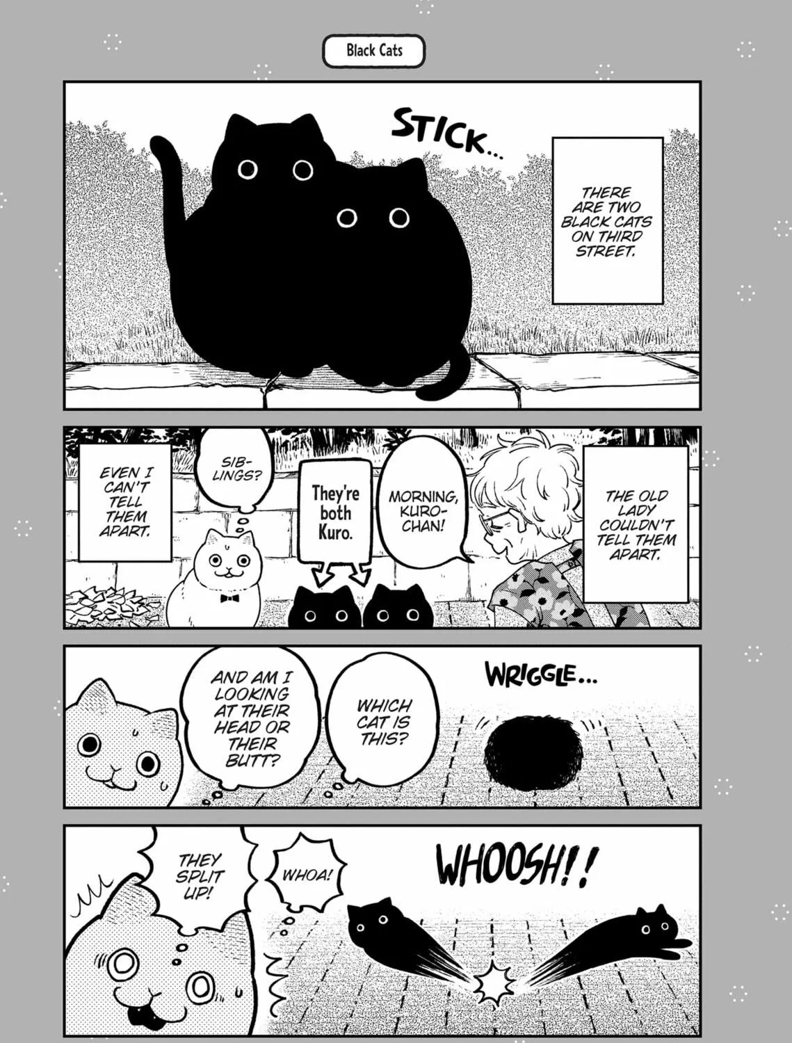Cat Companions Maruru and Hachi Chapter 18 page 29 - 