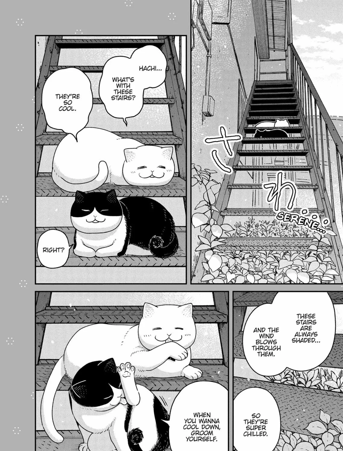 Cat Companions Maruru and Hachi Chapter 18 page 39 - 