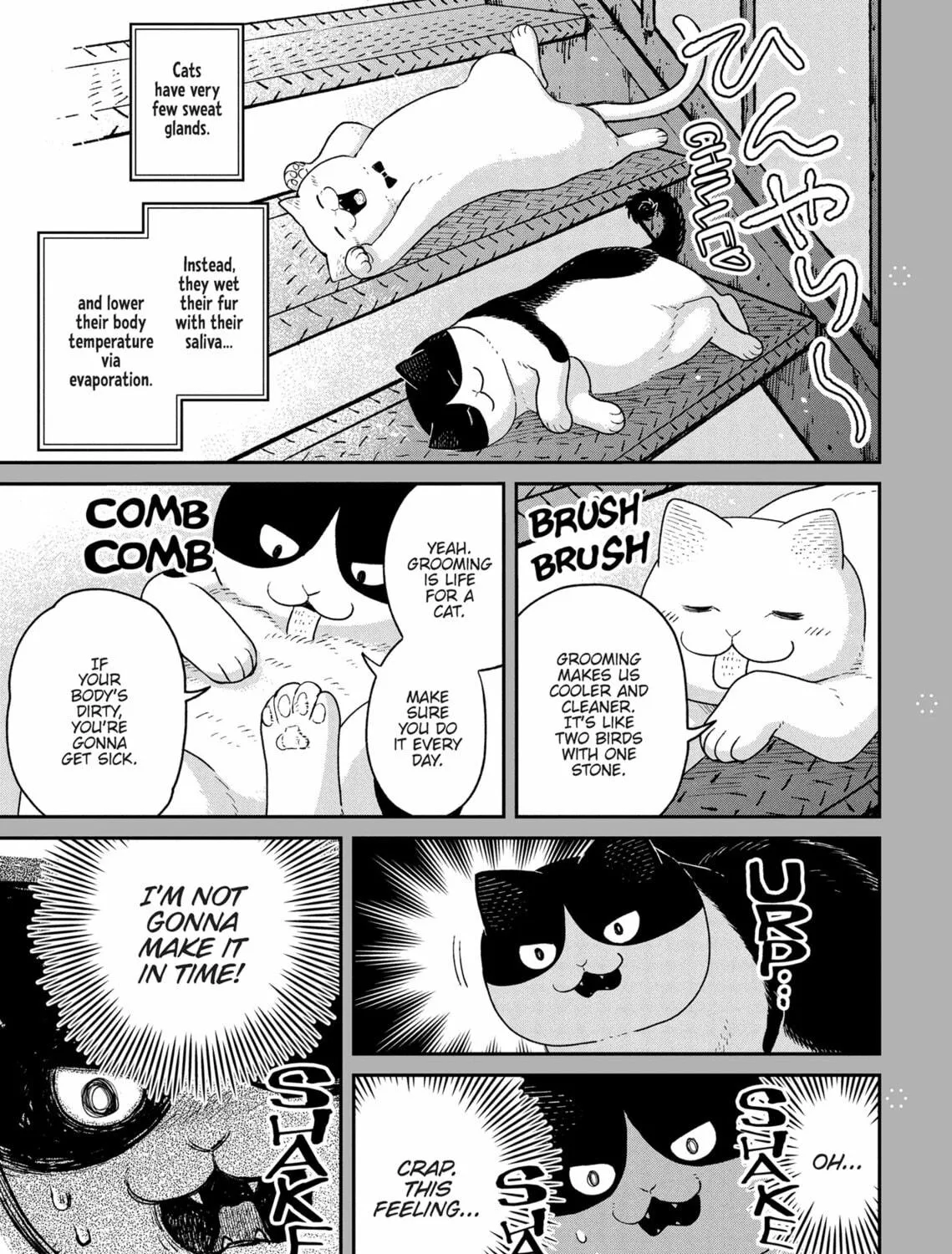 Cat Companions Maruru and Hachi Chapter 18 page 41 - 