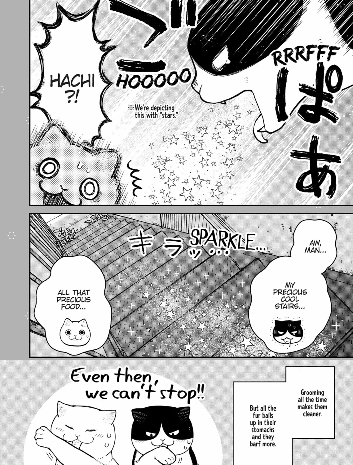 Cat Companions Maruru and Hachi Chapter 18 page 43 - 
