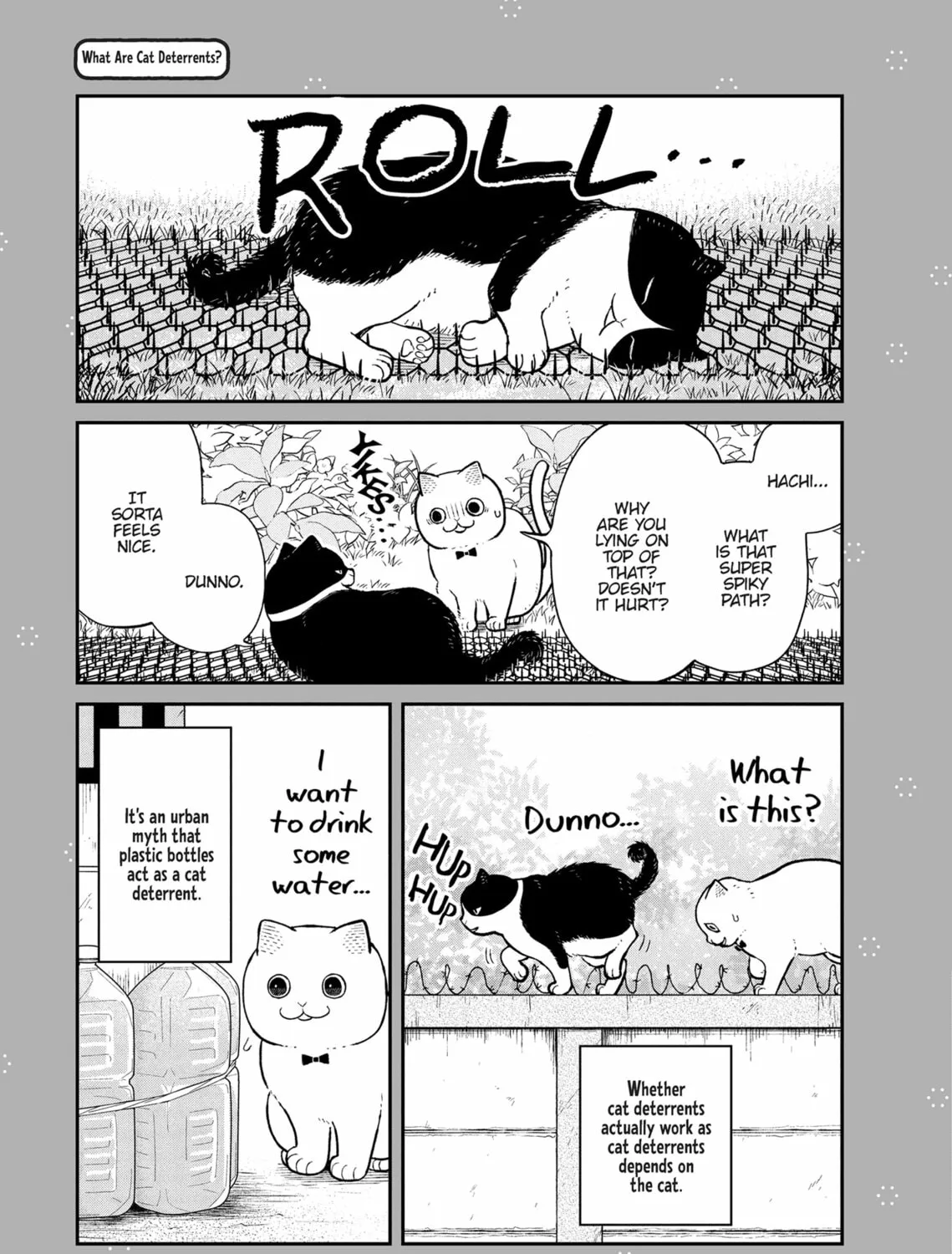 Cat Companions Maruru and Hachi Chapter 18 page 45 - 