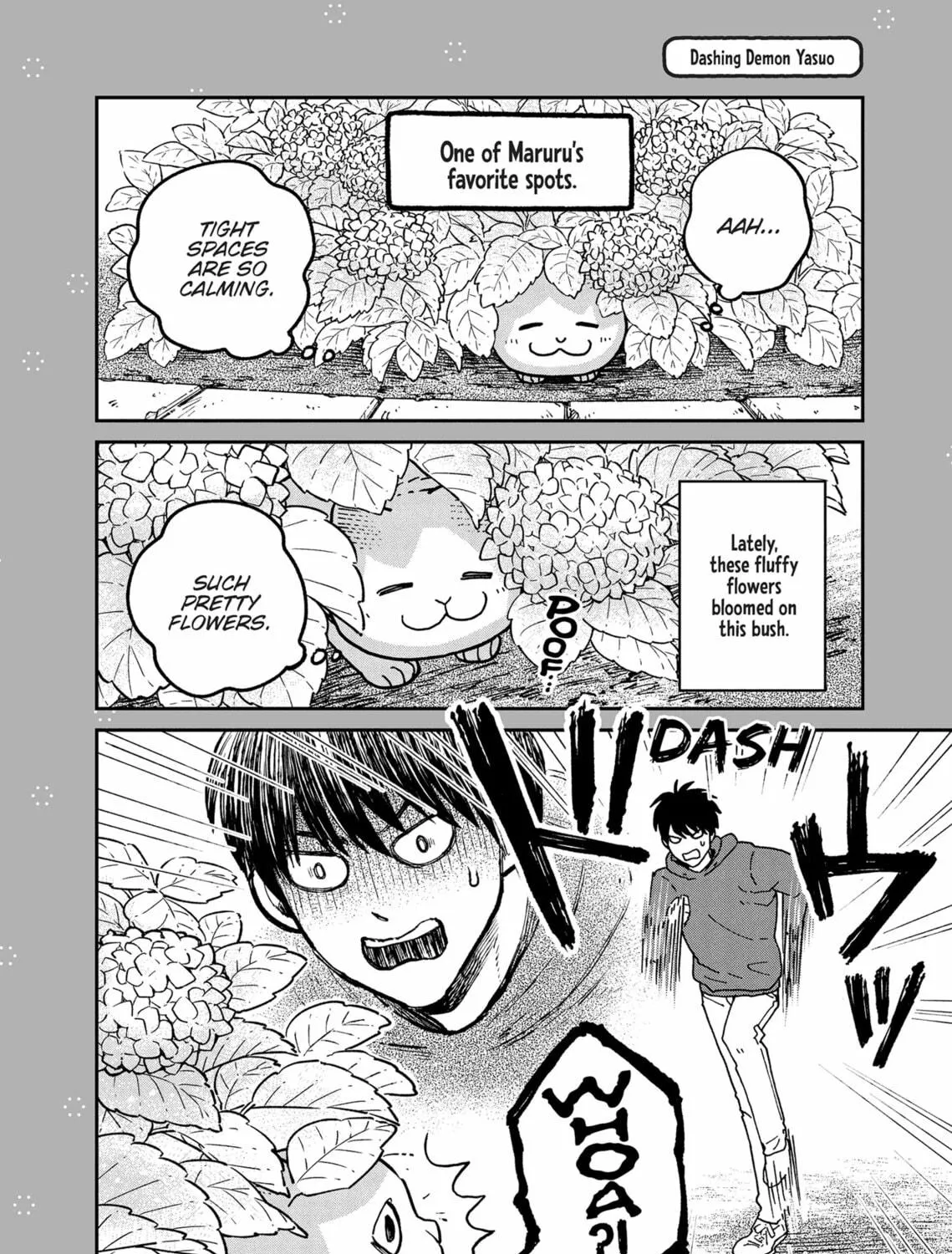 Cat Companions Maruru and Hachi Chapter 18 page 47 - 