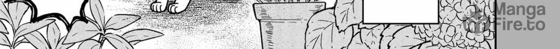Cat Companions Maruru and Hachi Chapter 18 page 50 - 