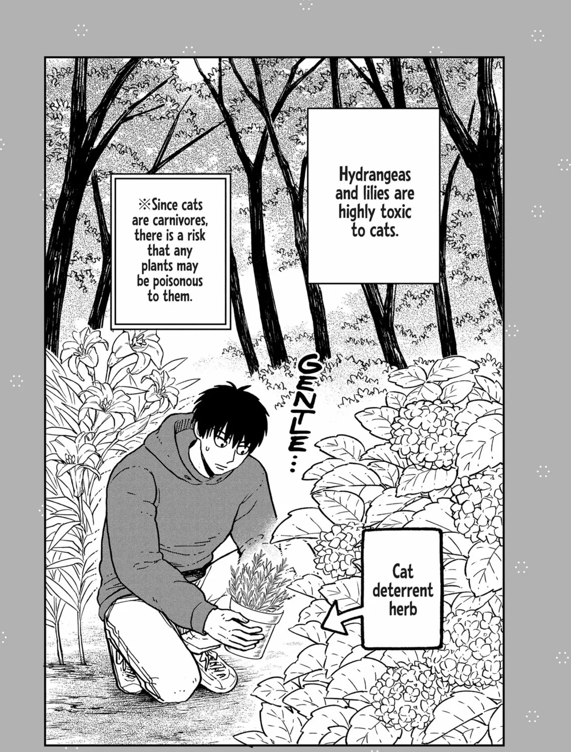Cat Companions Maruru and Hachi Chapter 18 page 51 - 