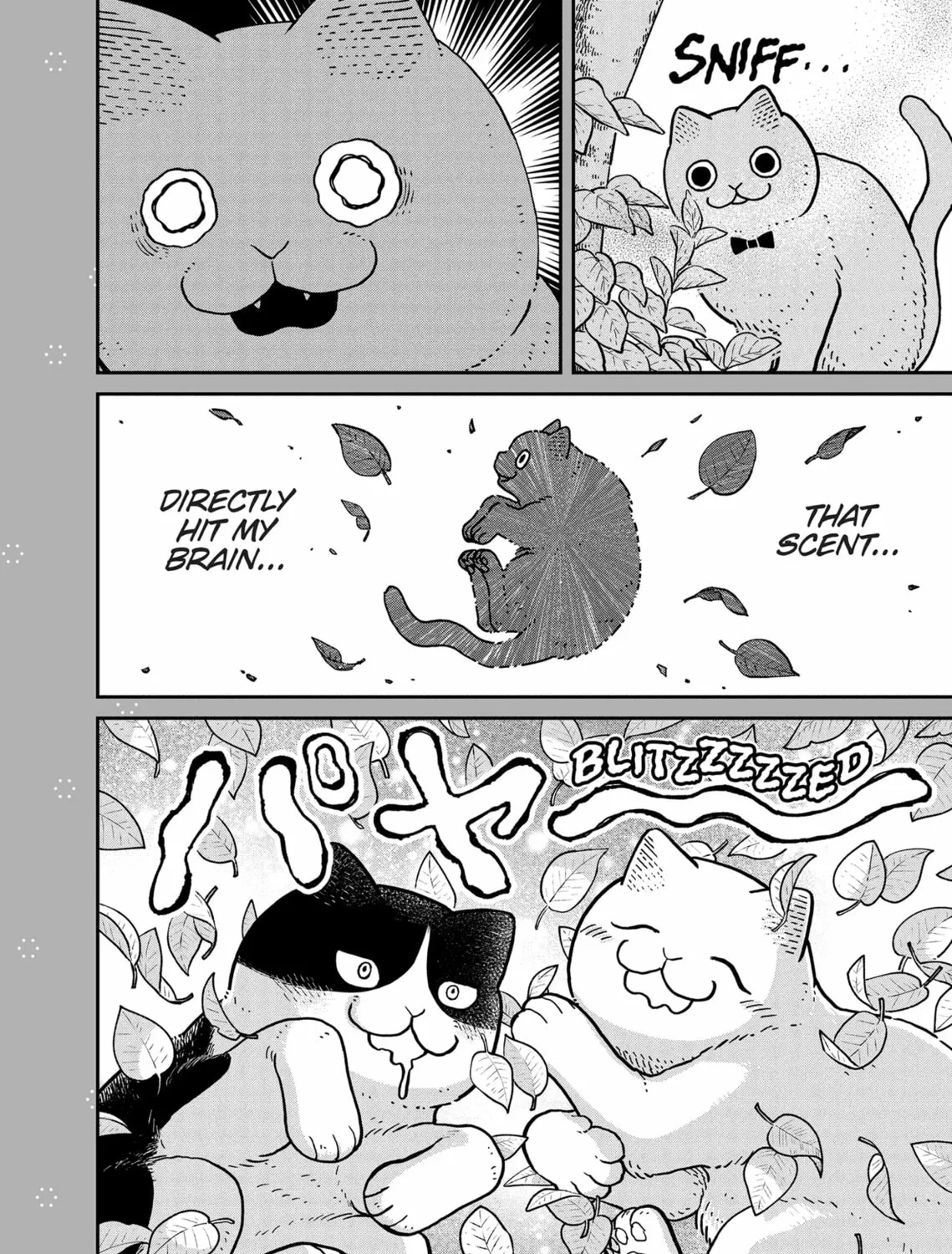 Cat Companions Maruru and Hachi Chapter 18 page 55 - 