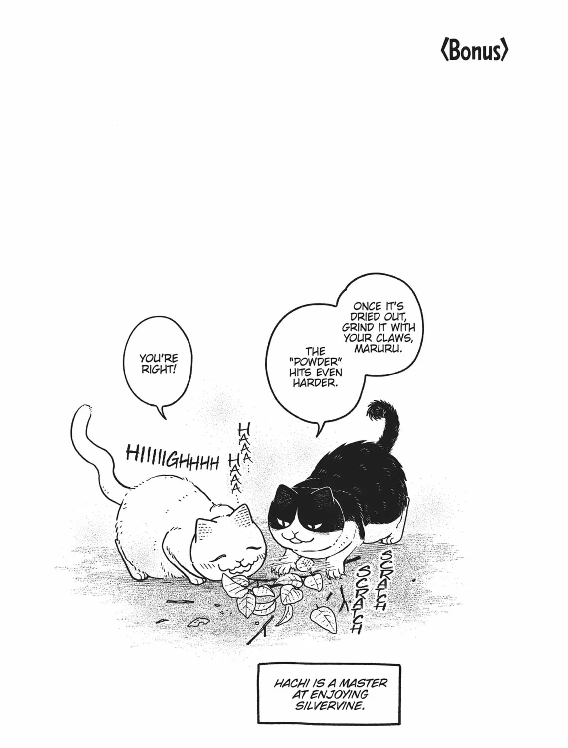 Cat Companions Maruru and Hachi Chapter 18 page 61 - 