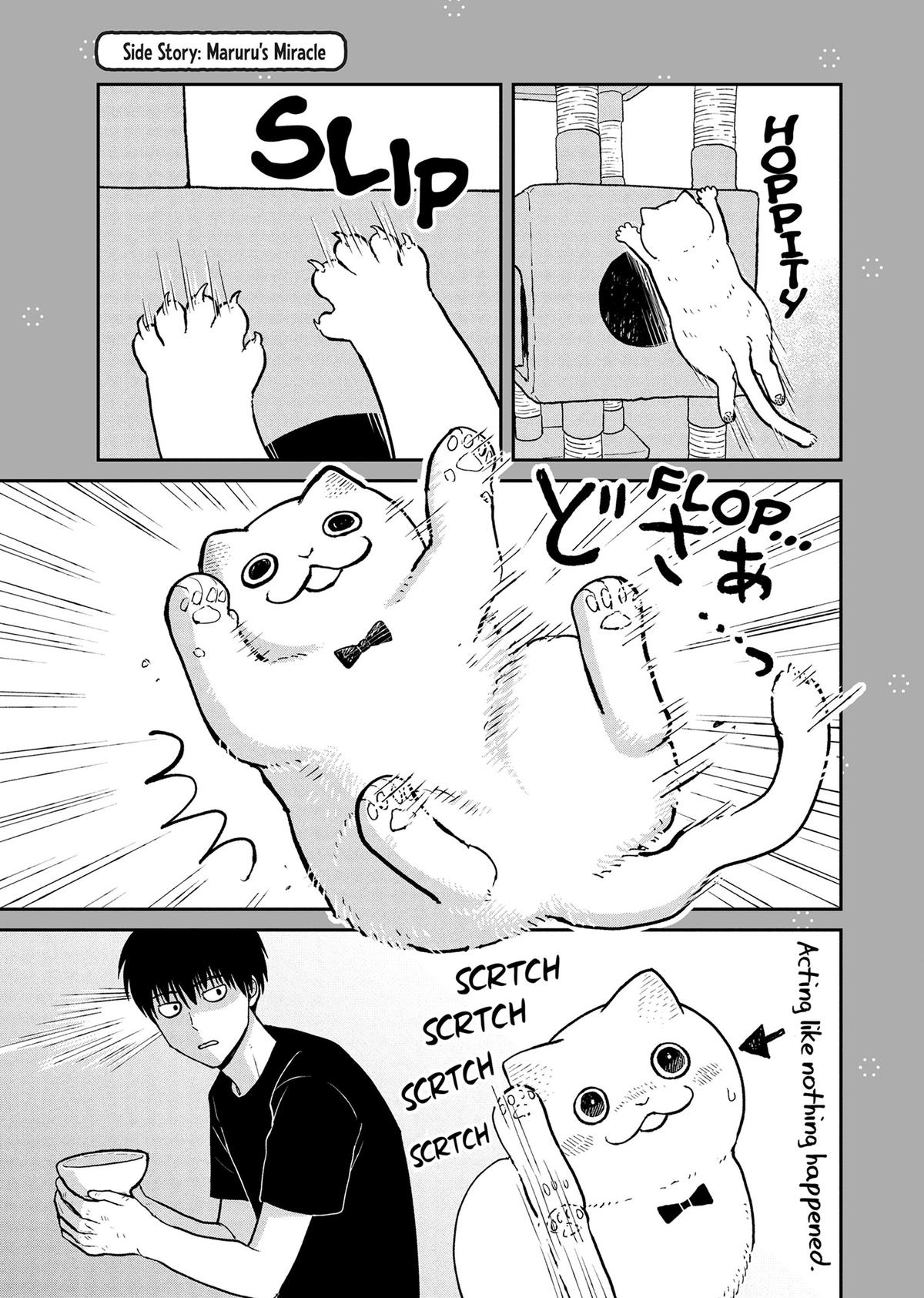 Cat Companions Maruru and Hachi Chapter 19.5 page 1 - 