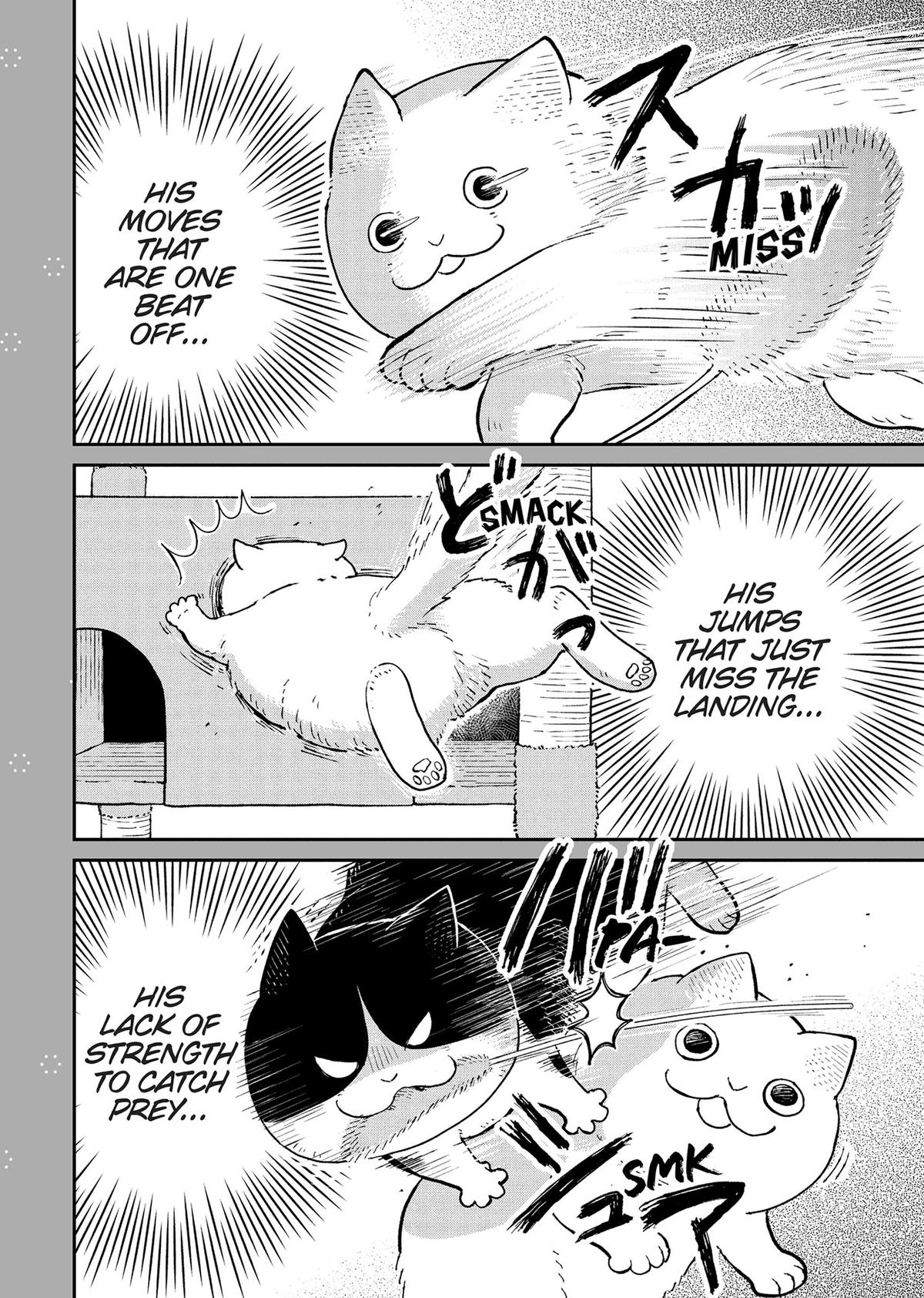 Cat Companions Maruru and Hachi Chapter 19.5 page 2 - 