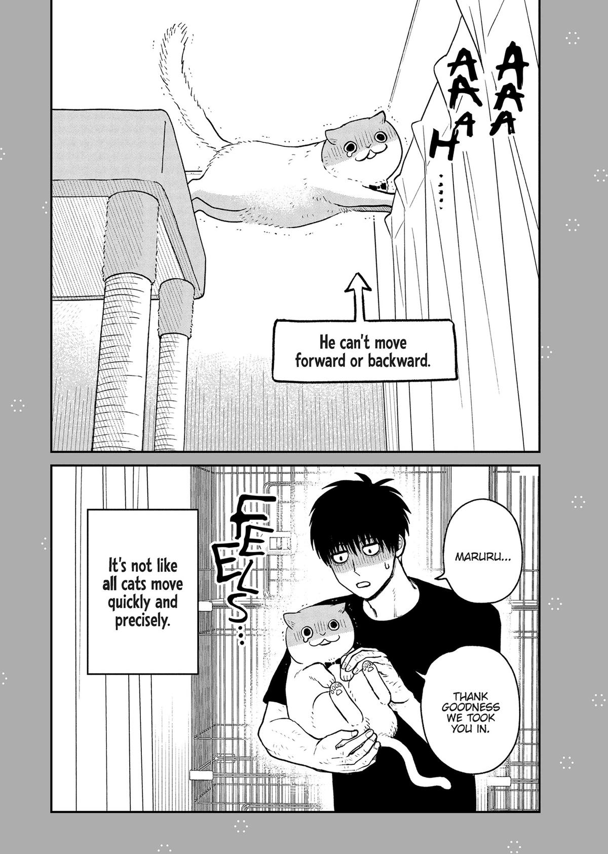 Cat Companions Maruru and Hachi Chapter 19.5 page 3 - 