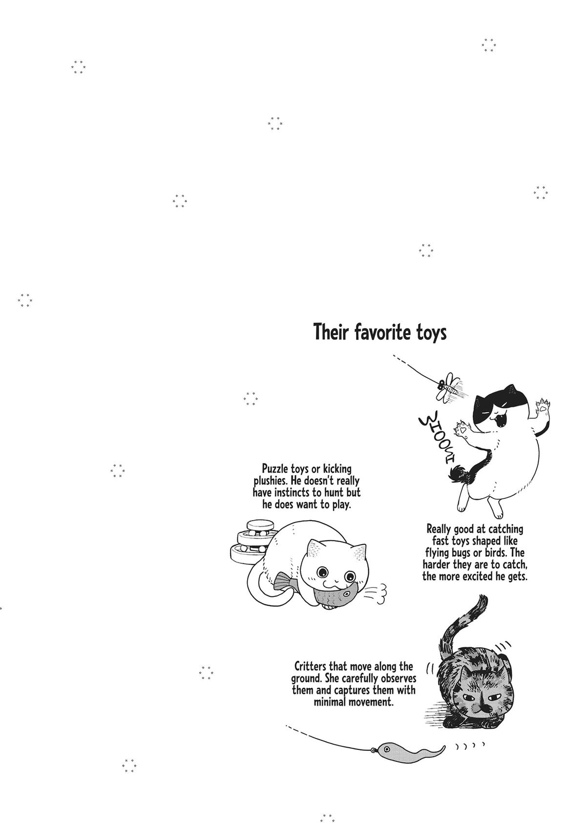 Cat Companions Maruru and Hachi Chapter 19.5 page 4 - 