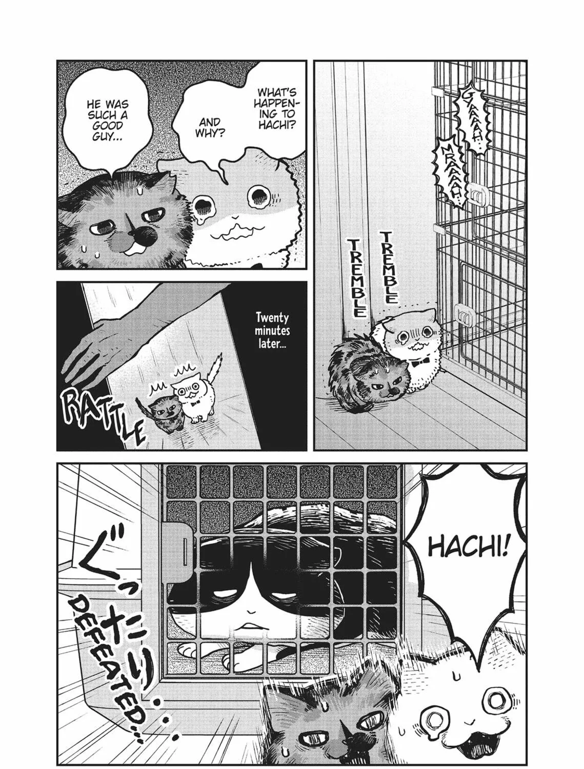 Cat Companions Maruru and Hachi Chapter 19 page 11 - 