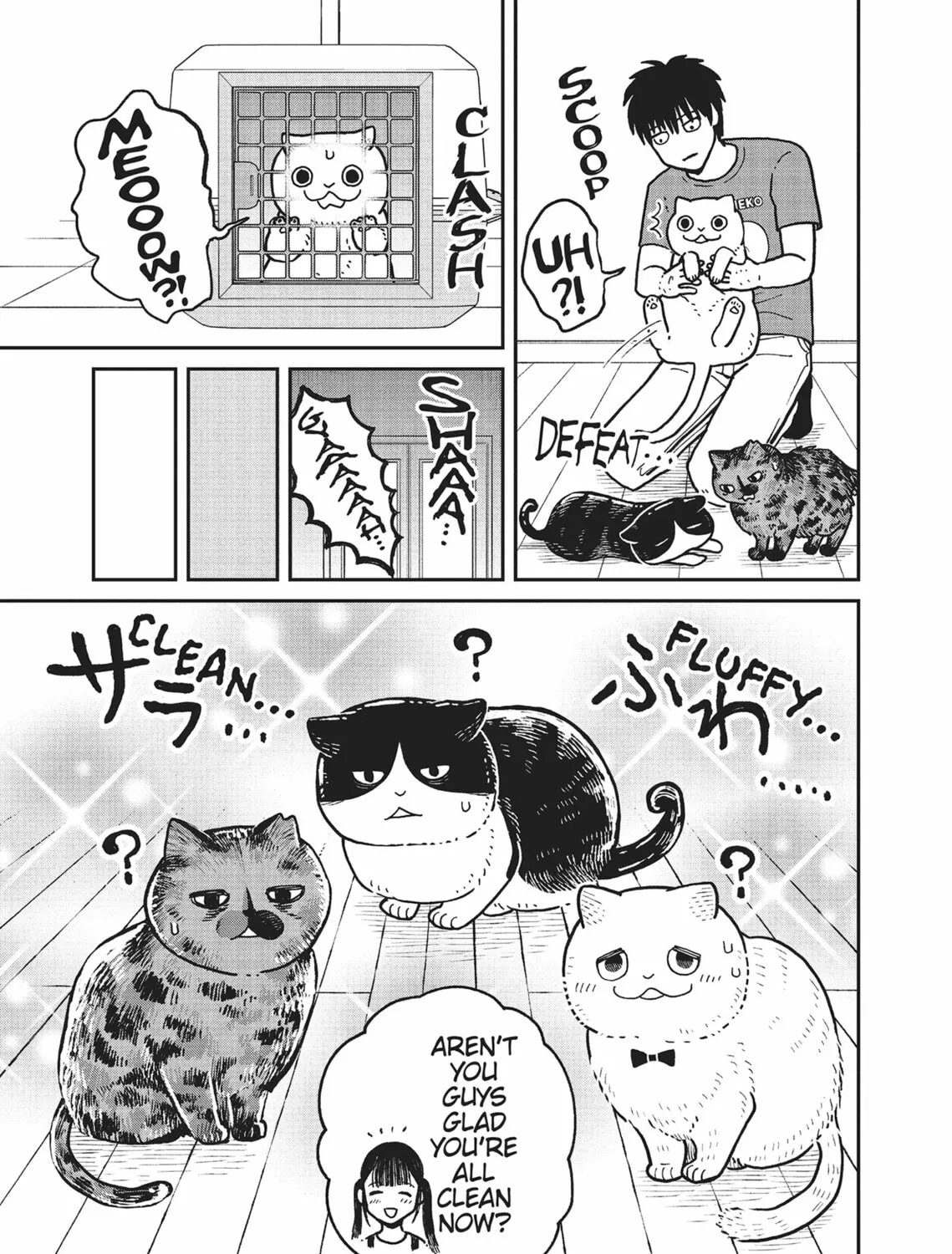 Cat Companions Maruru and Hachi Chapter 19 page 13 - 