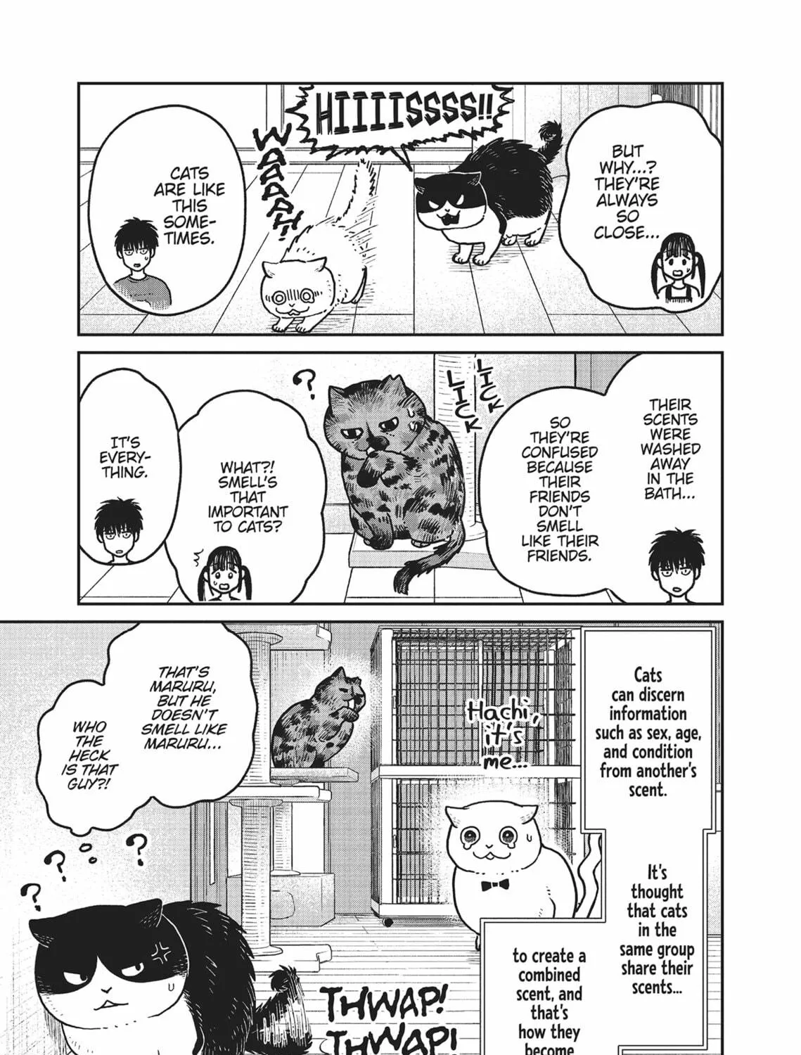 Cat Companions Maruru and Hachi Chapter 19 page 17 - 