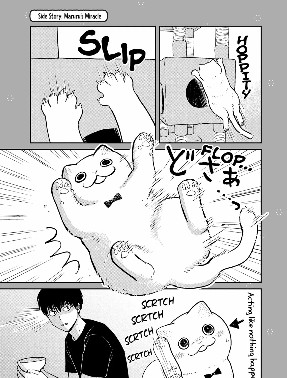 Cat Companions Maruru and Hachi Chapter 19 page 25 - 