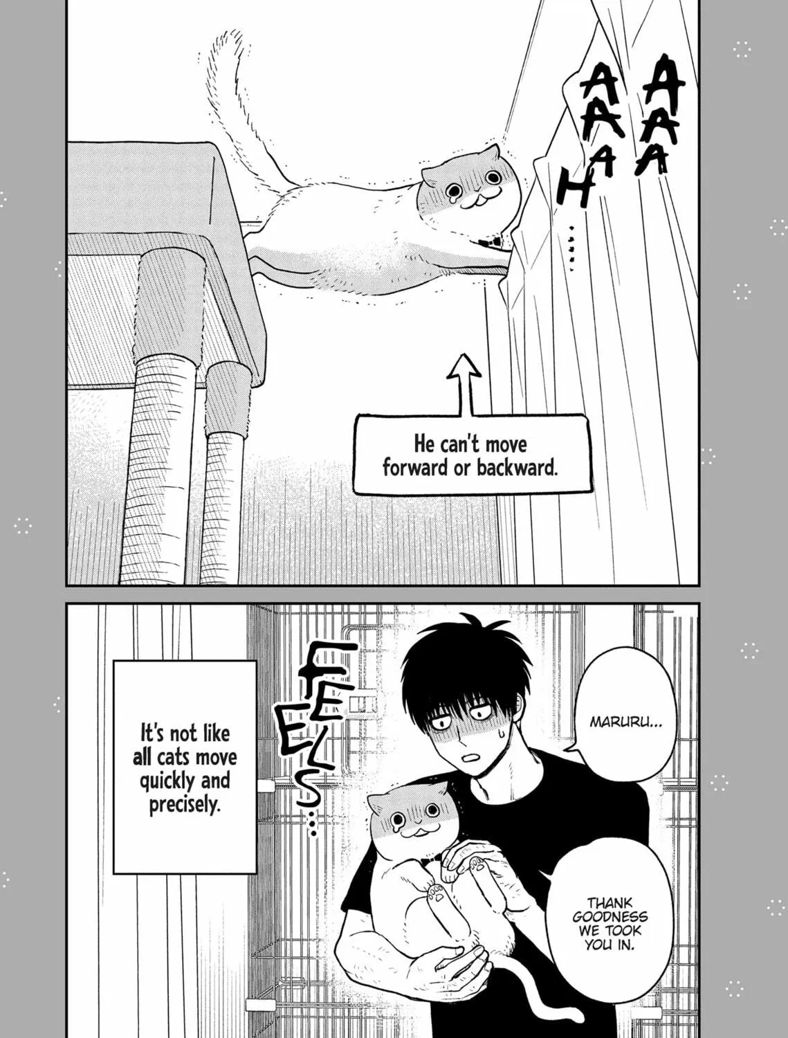 Cat Companions Maruru and Hachi Chapter 19 page 29 - 