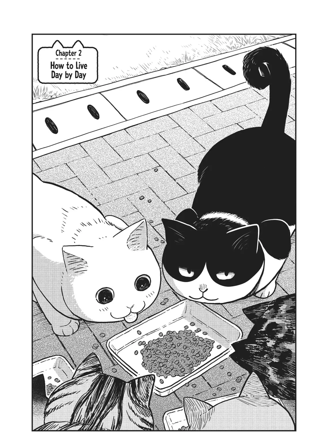 Cat Companions Maruru and Hachi Chapter 2 page 1 - 