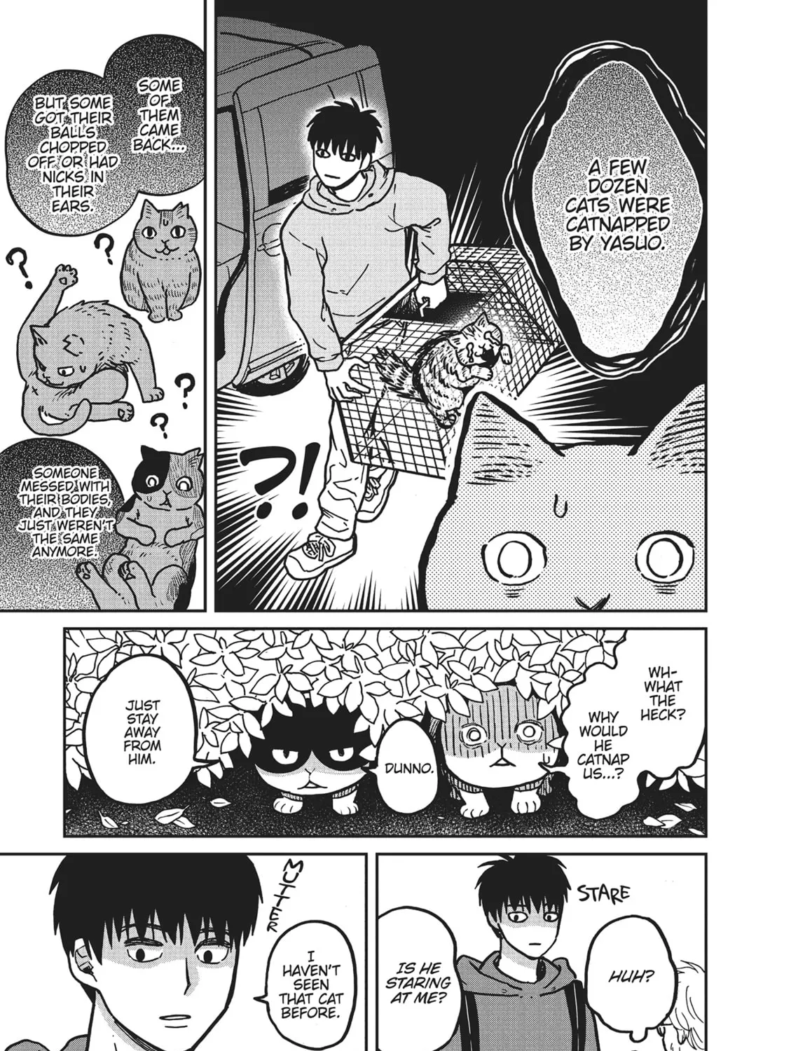 Cat Companions Maruru and Hachi Chapter 2 page 13 - 