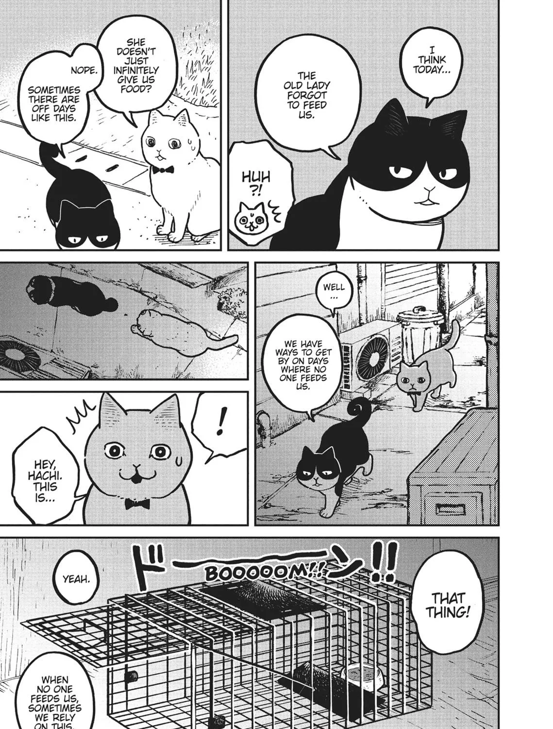 Cat Companions Maruru and Hachi Chapter 2 page 17 - 