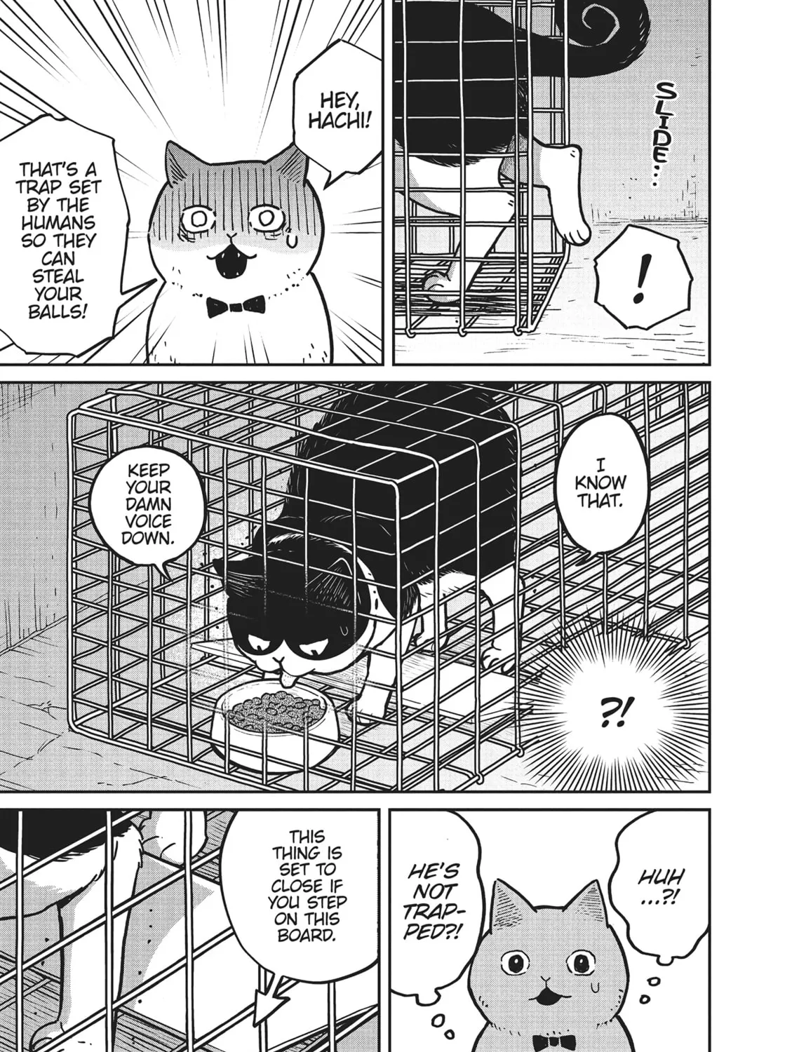 Cat Companions Maruru and Hachi Chapter 2 page 21 - 