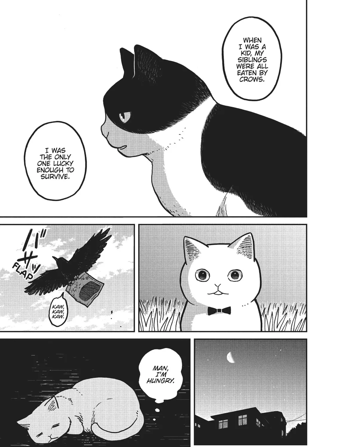 Cat Companions Maruru and Hachi Chapter 2 page 33 - 