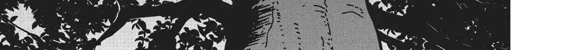 Cat Companions Maruru and Hachi Chapter 2 page 38 - 