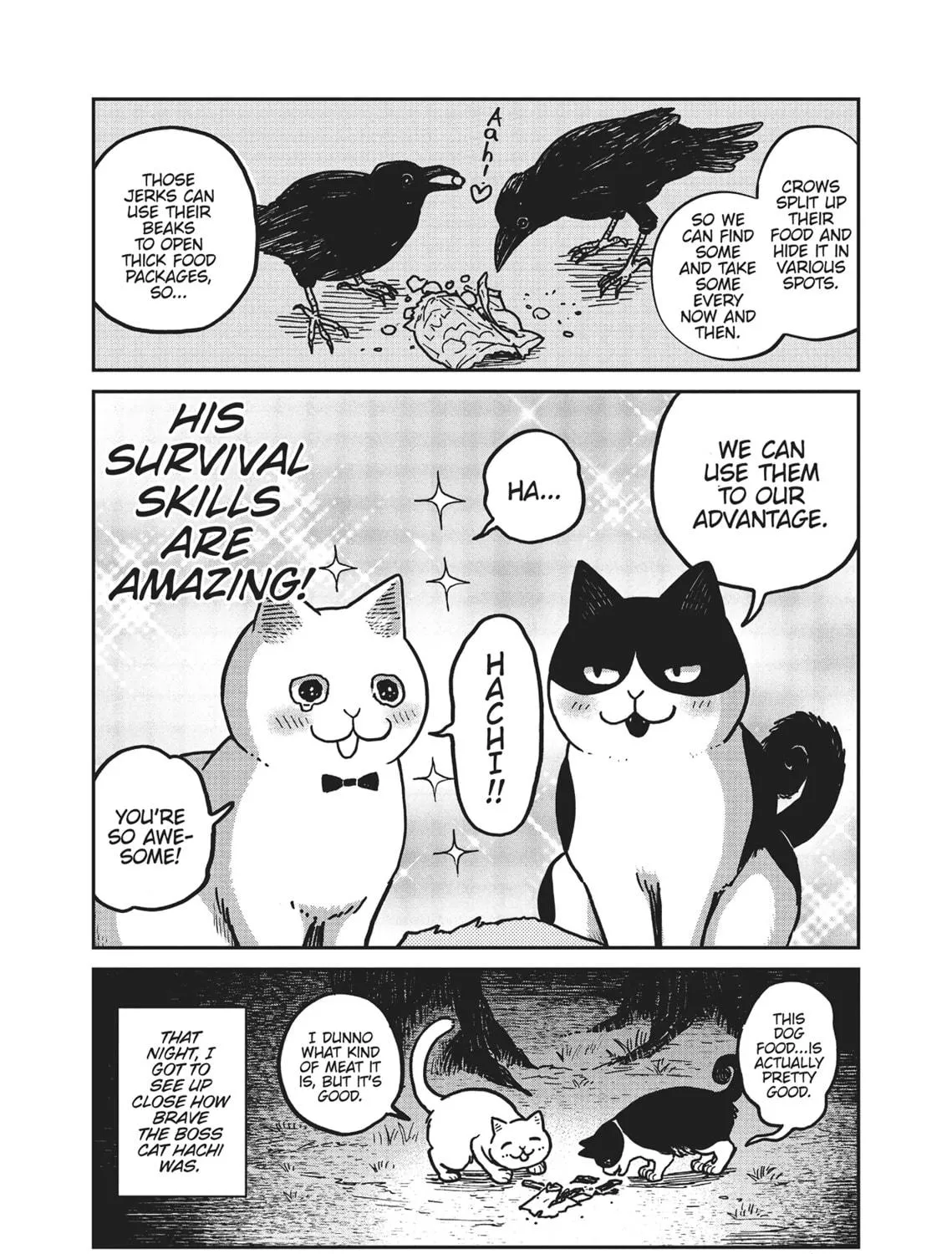 Cat Companions Maruru and Hachi Chapter 2 page 39 - 