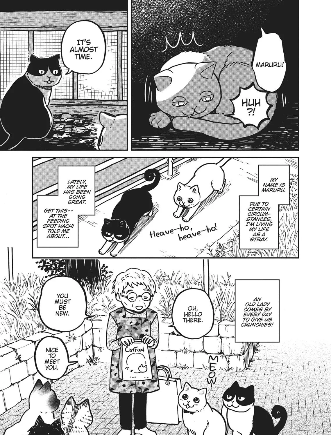 Cat Companions Maruru and Hachi Chapter 2 page 5 - 