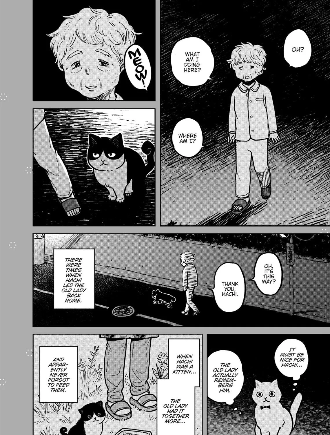 Cat Companions Maruru and Hachi Chapter 2 page 47 - 